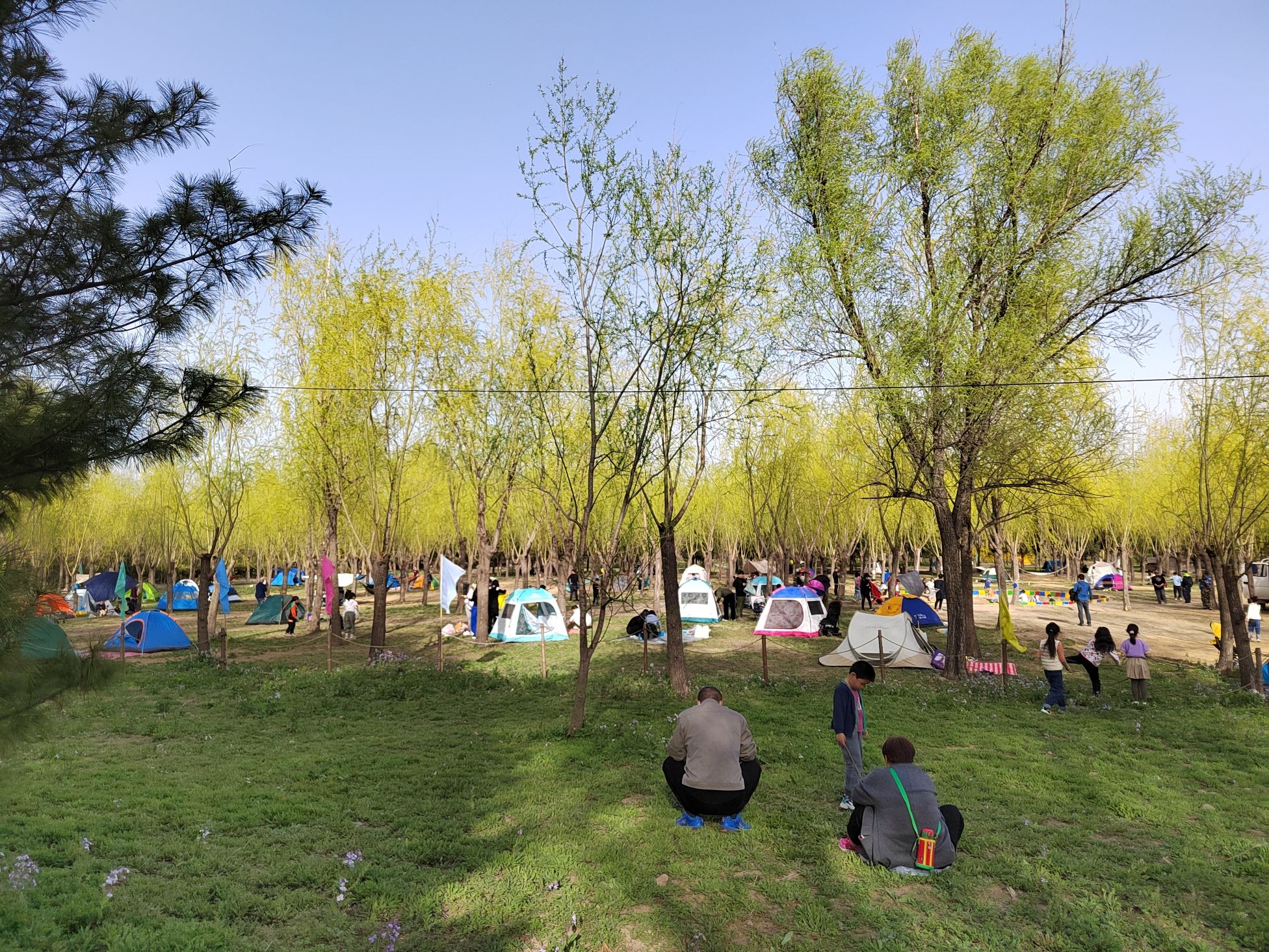 东坝公园旅行图片