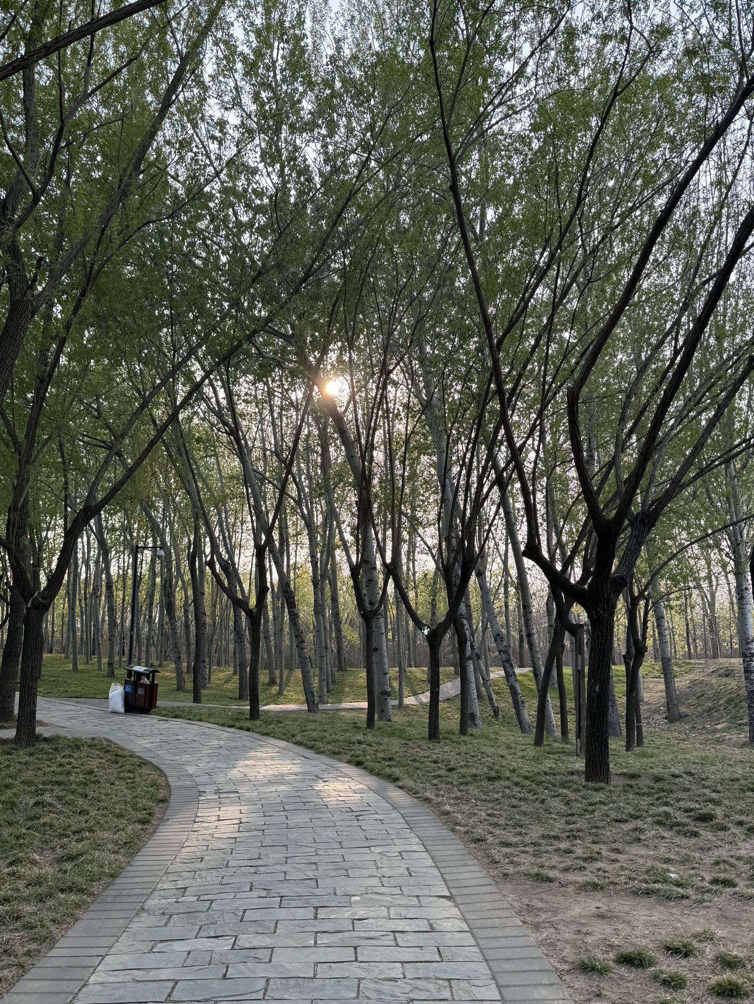 北小河公园