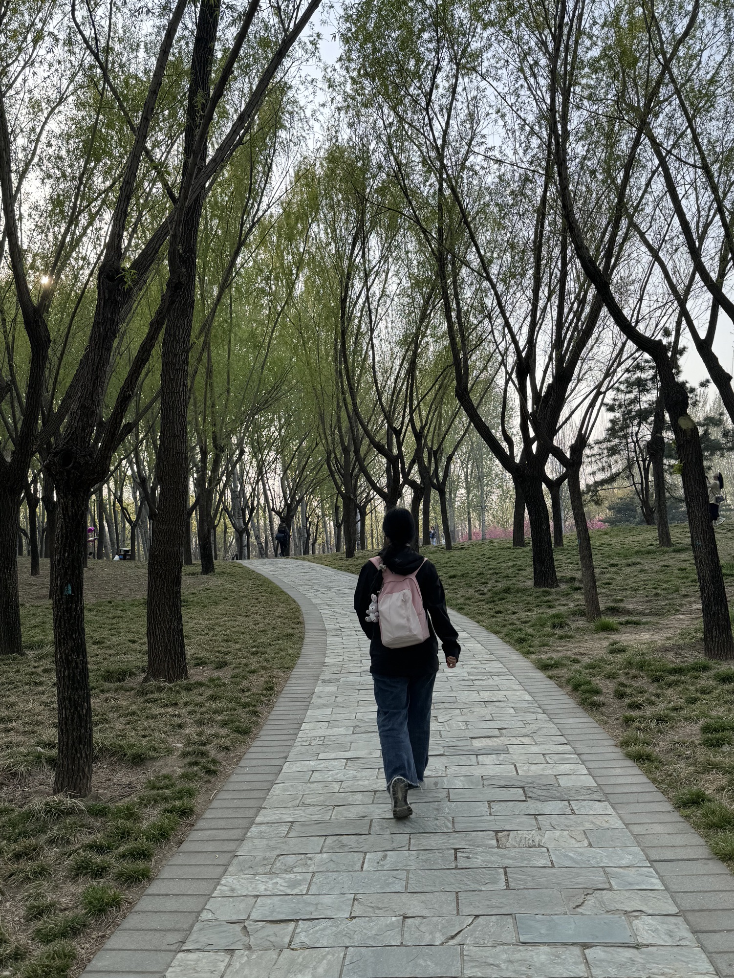 北小河公园旅行图片