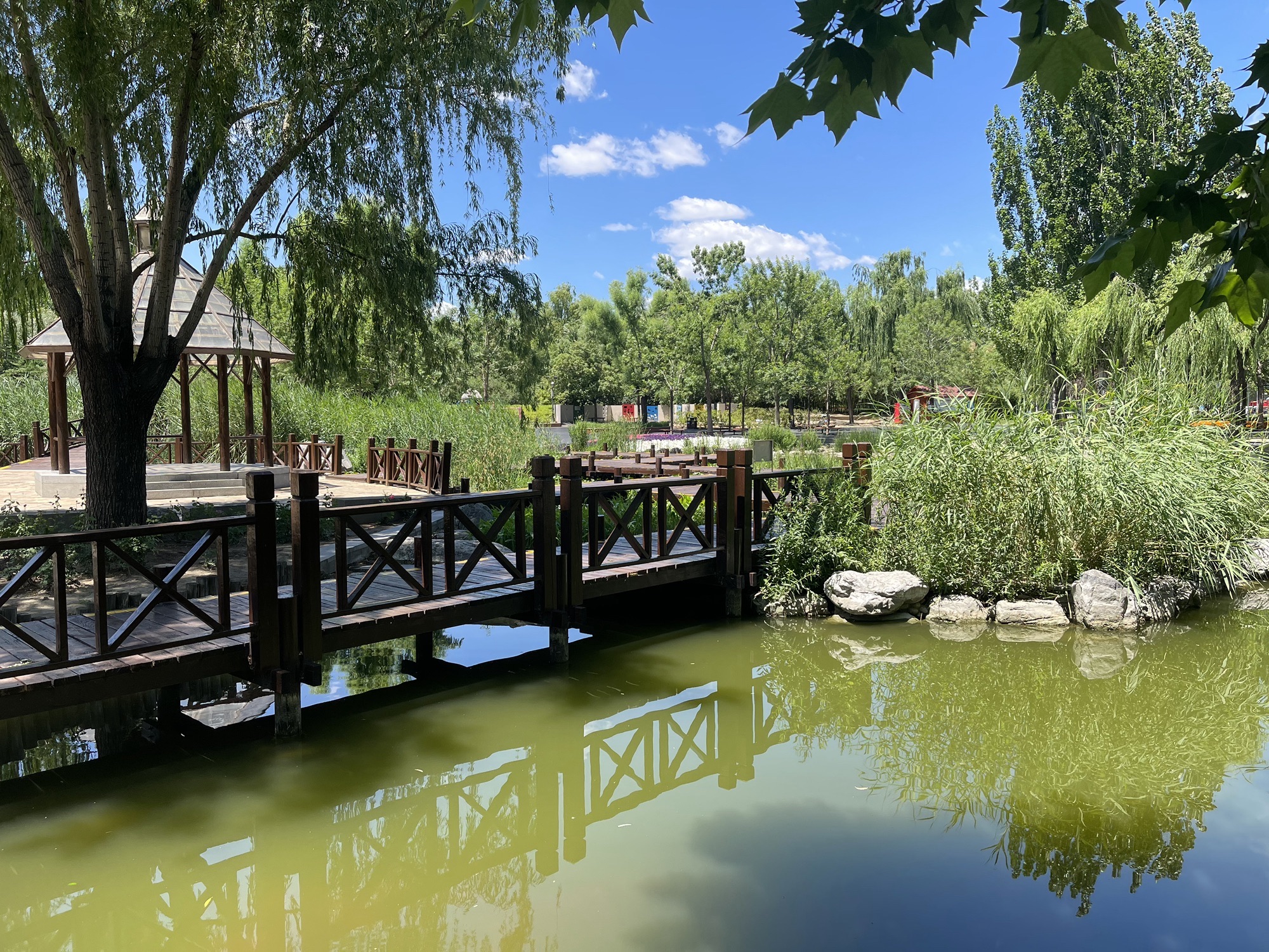 北小河公园旅行图片