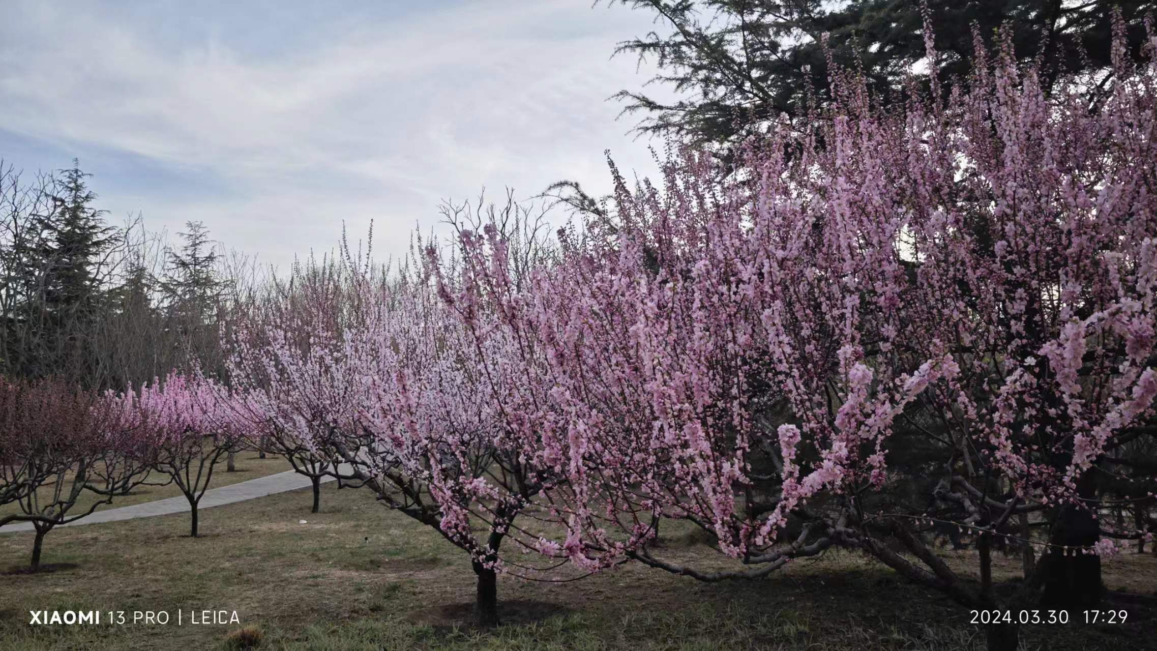 北小河公园旅行图片