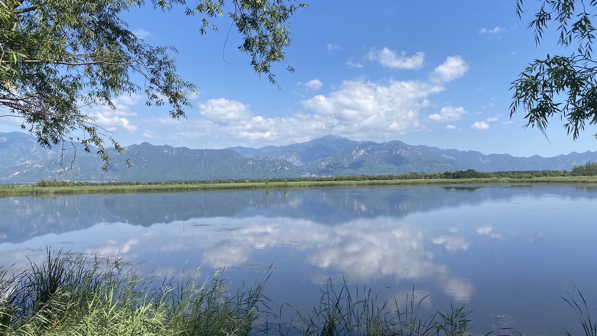 野鸭湖国家湿地公园旅行图片