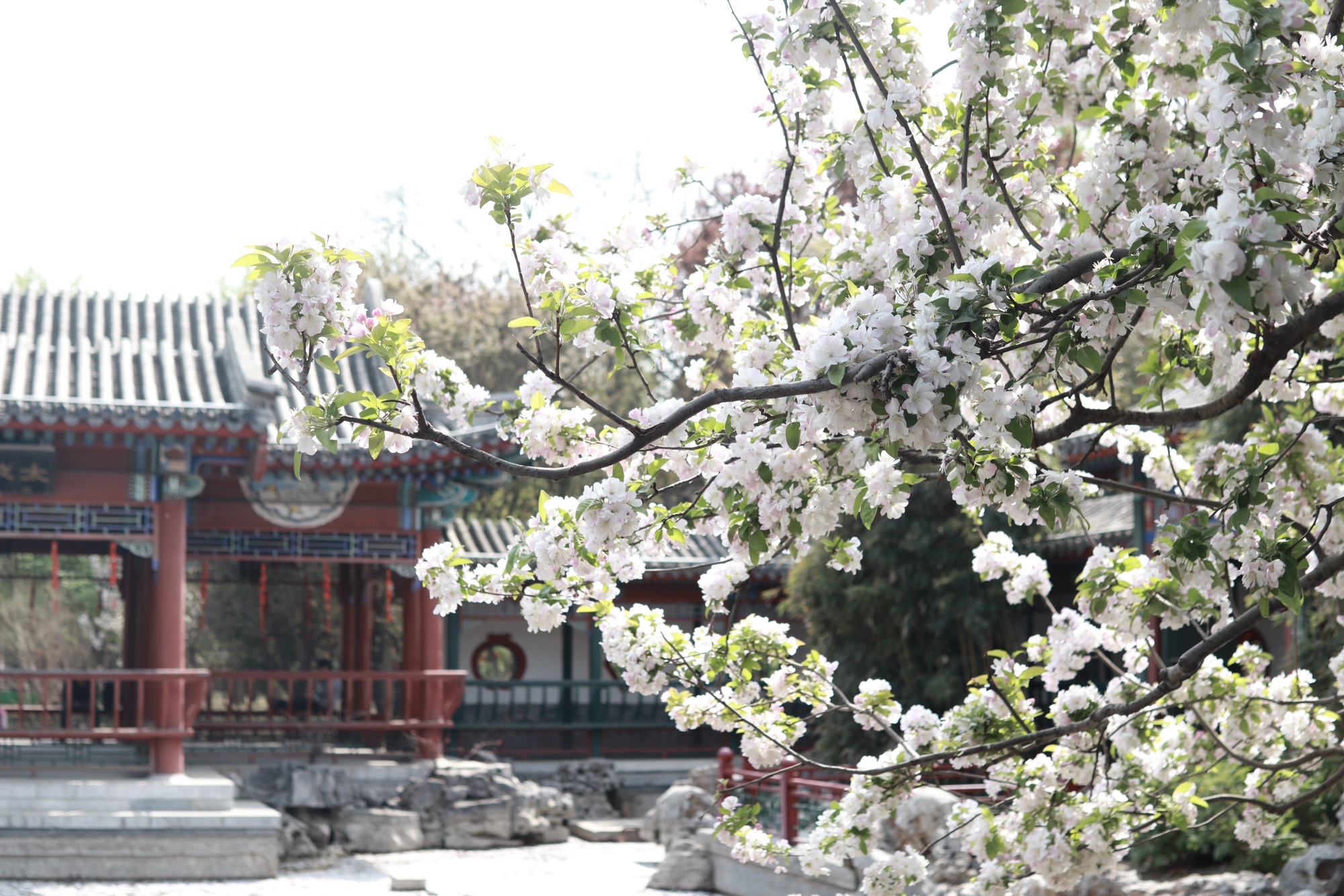 月坛公园