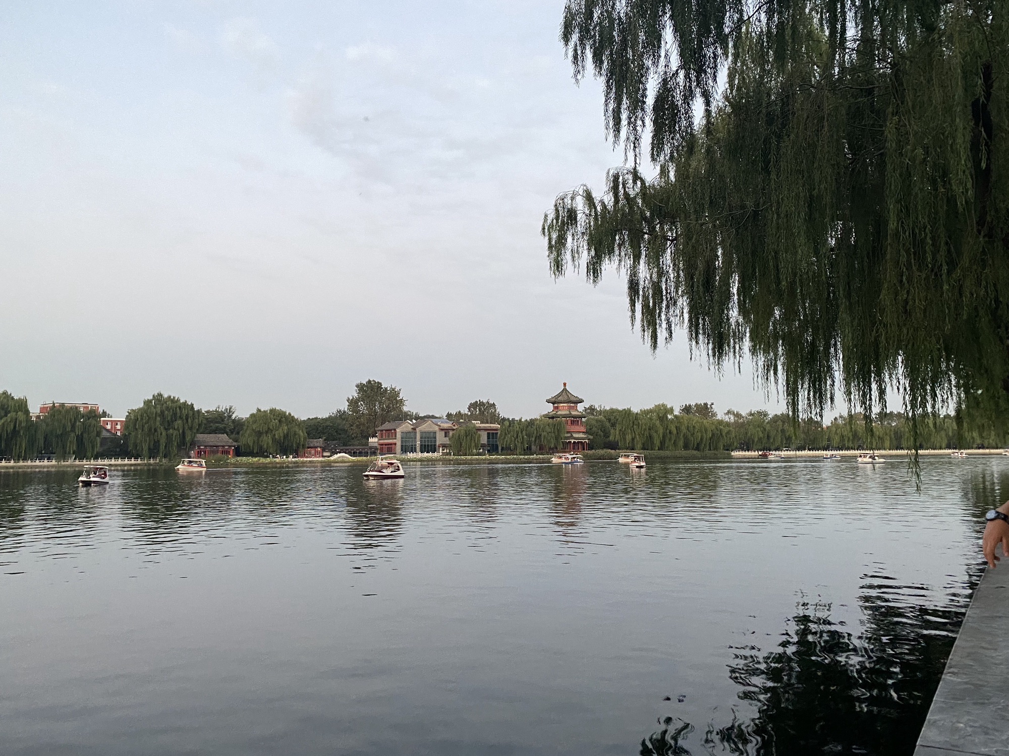 后海公园旅行图片