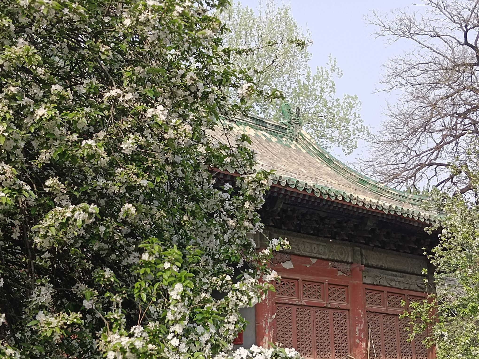 孚王府(不对外开放)