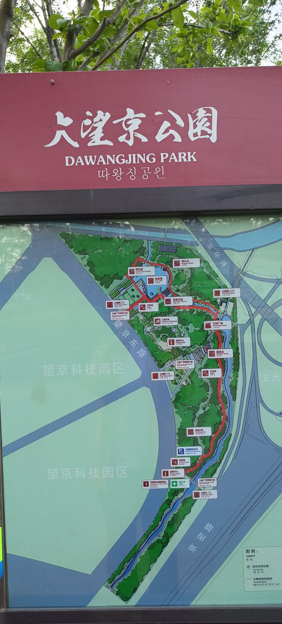 大望京公园旅行图片