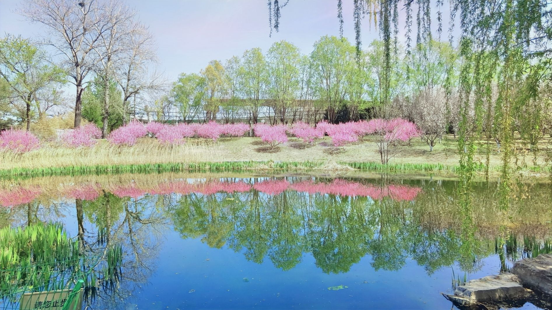 大望京公园旅行图片