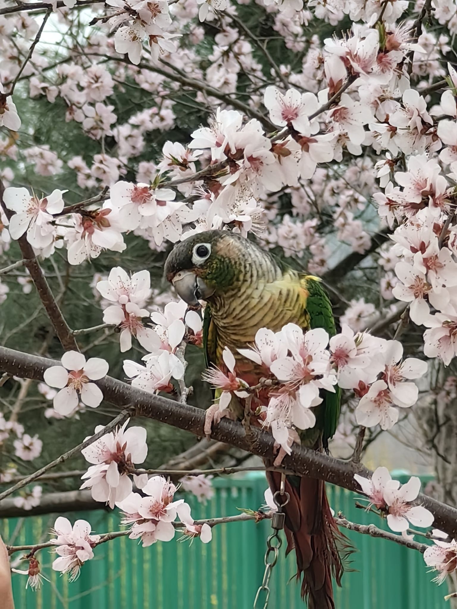 老山城市休闲公园