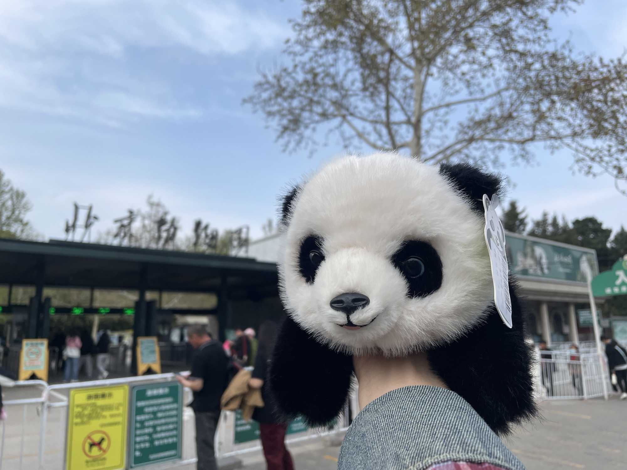 北京动物园旅行图片