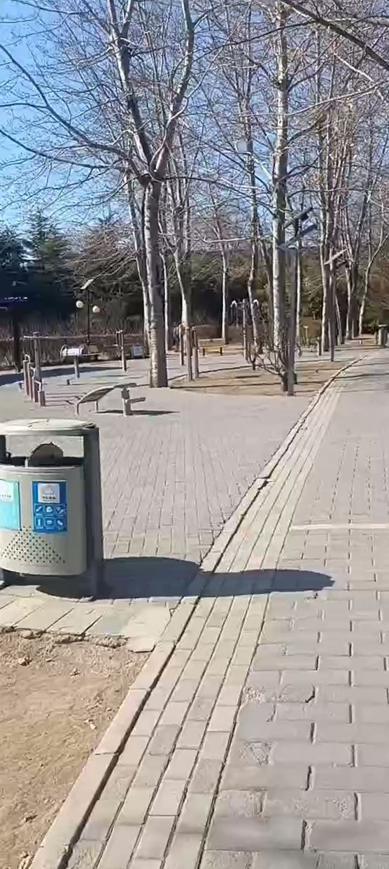 白鹿公园旅行图片