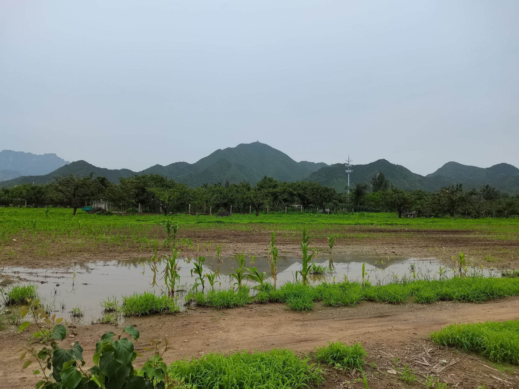 明十三陵景区旅行图片
