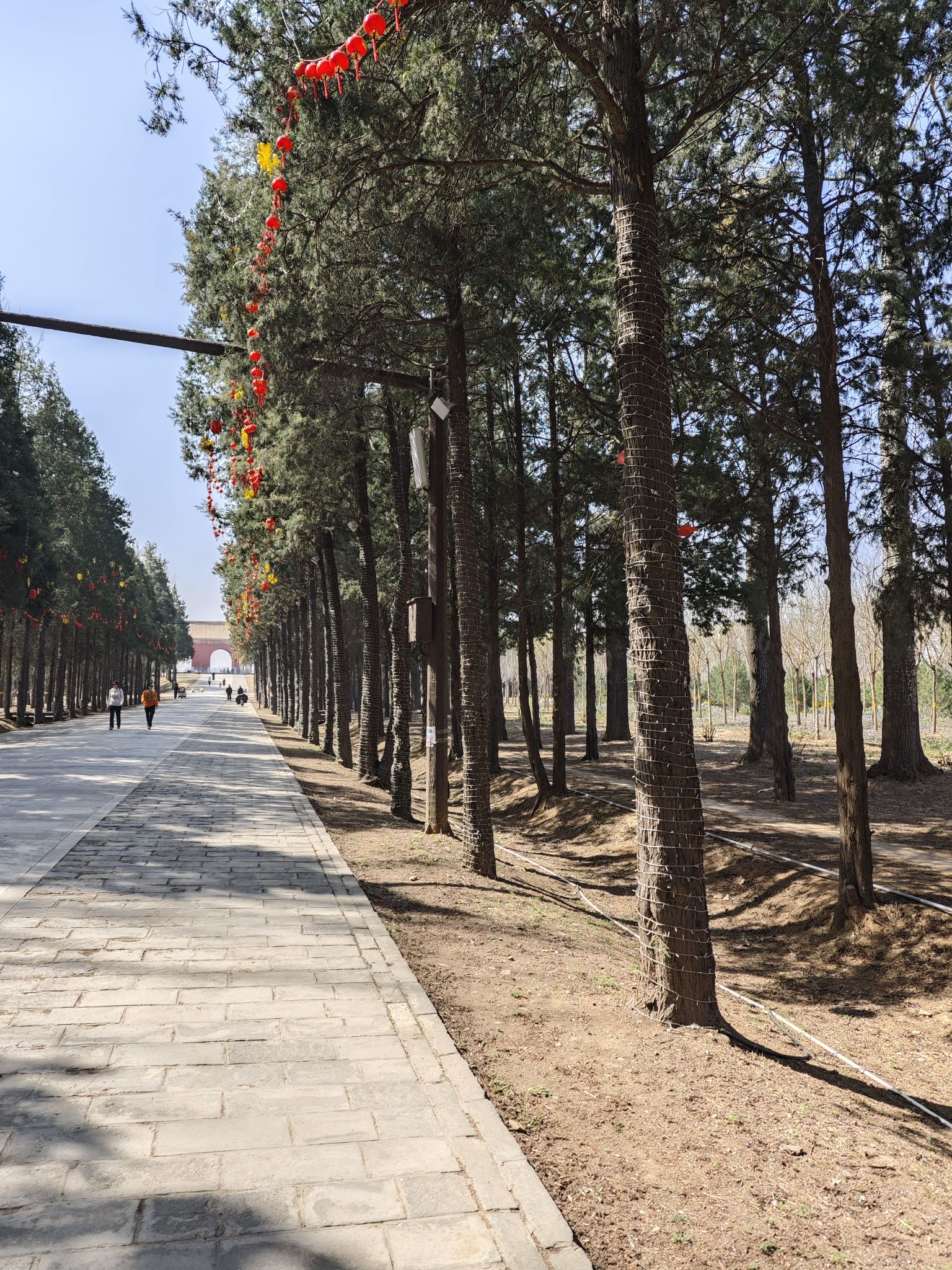 明十三陵景区旅行图片
