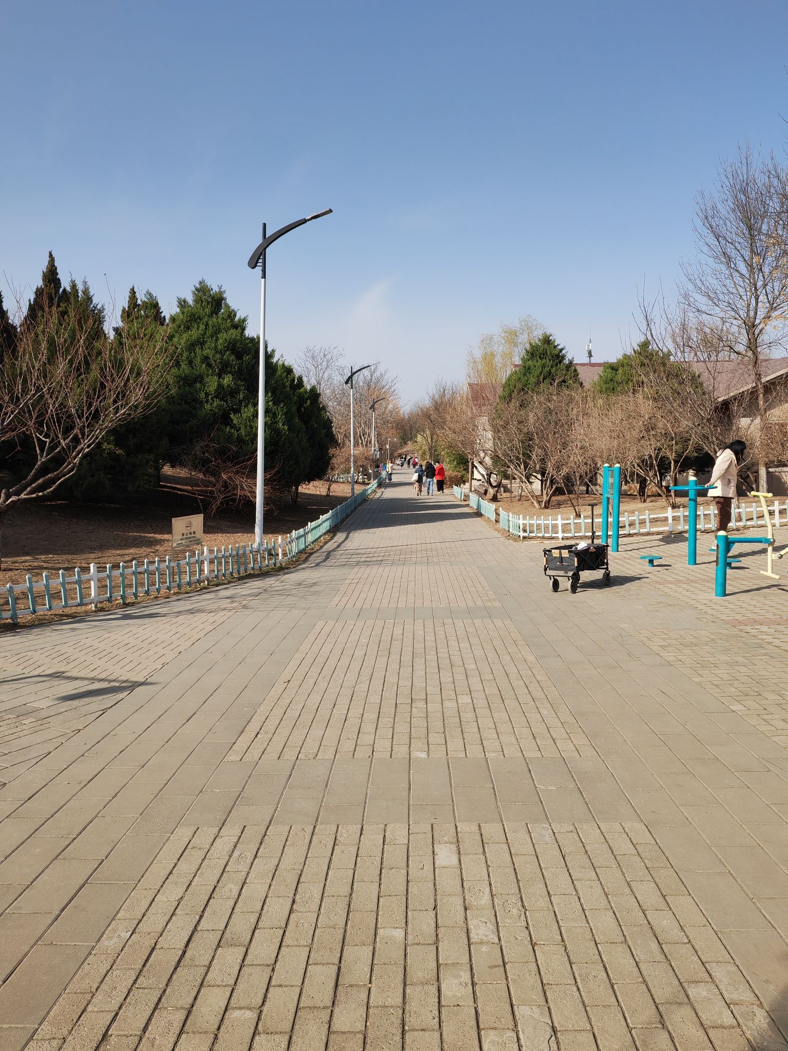 清河营郊野公园旅行图片