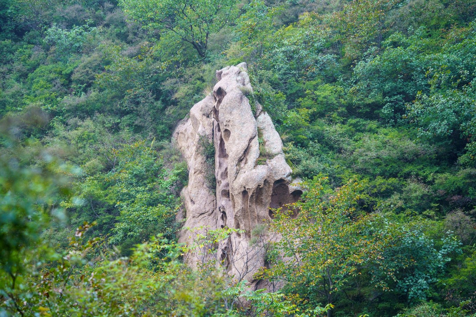 古崖居遗址旅行图片