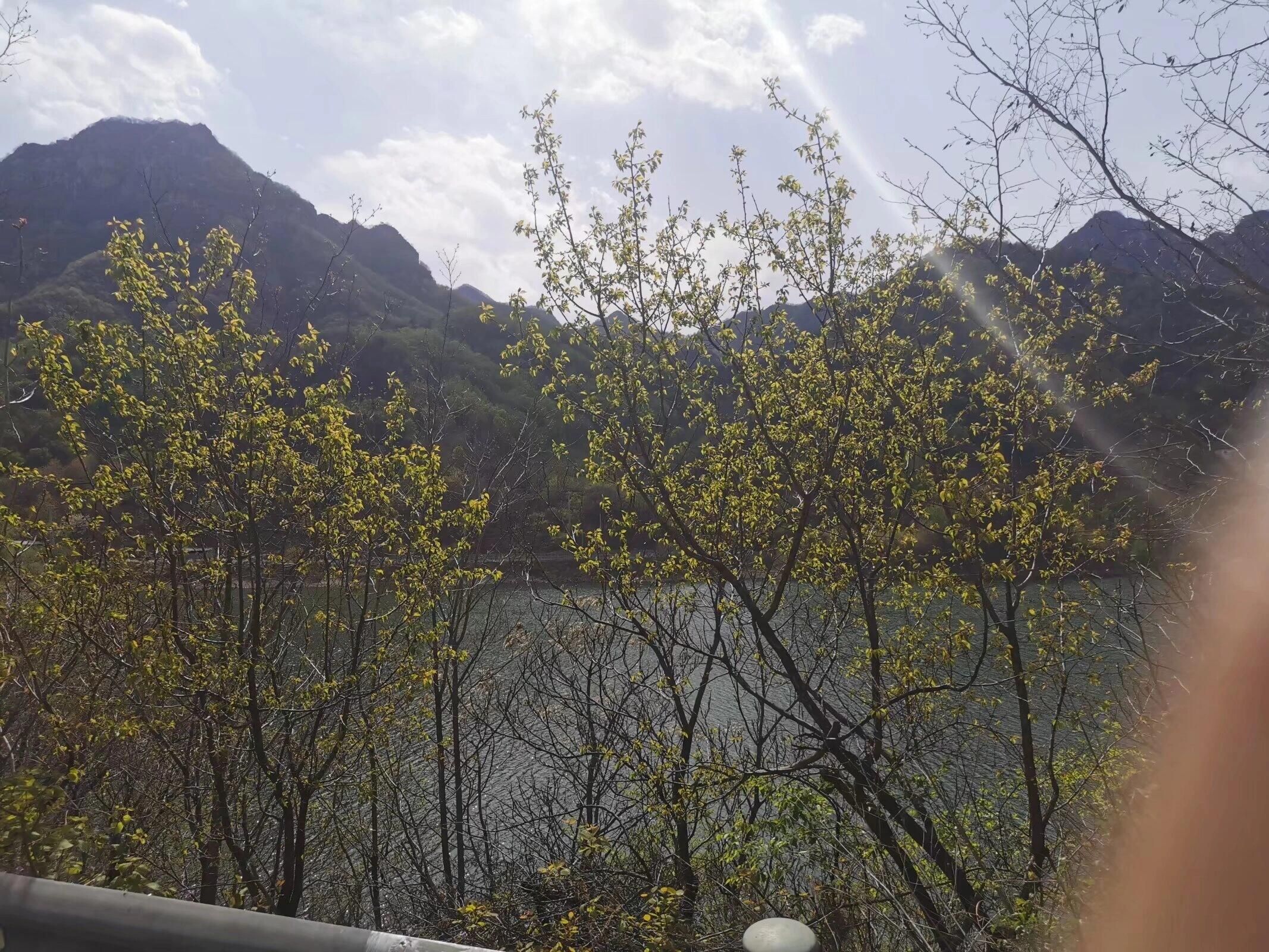 平谷桃花海
