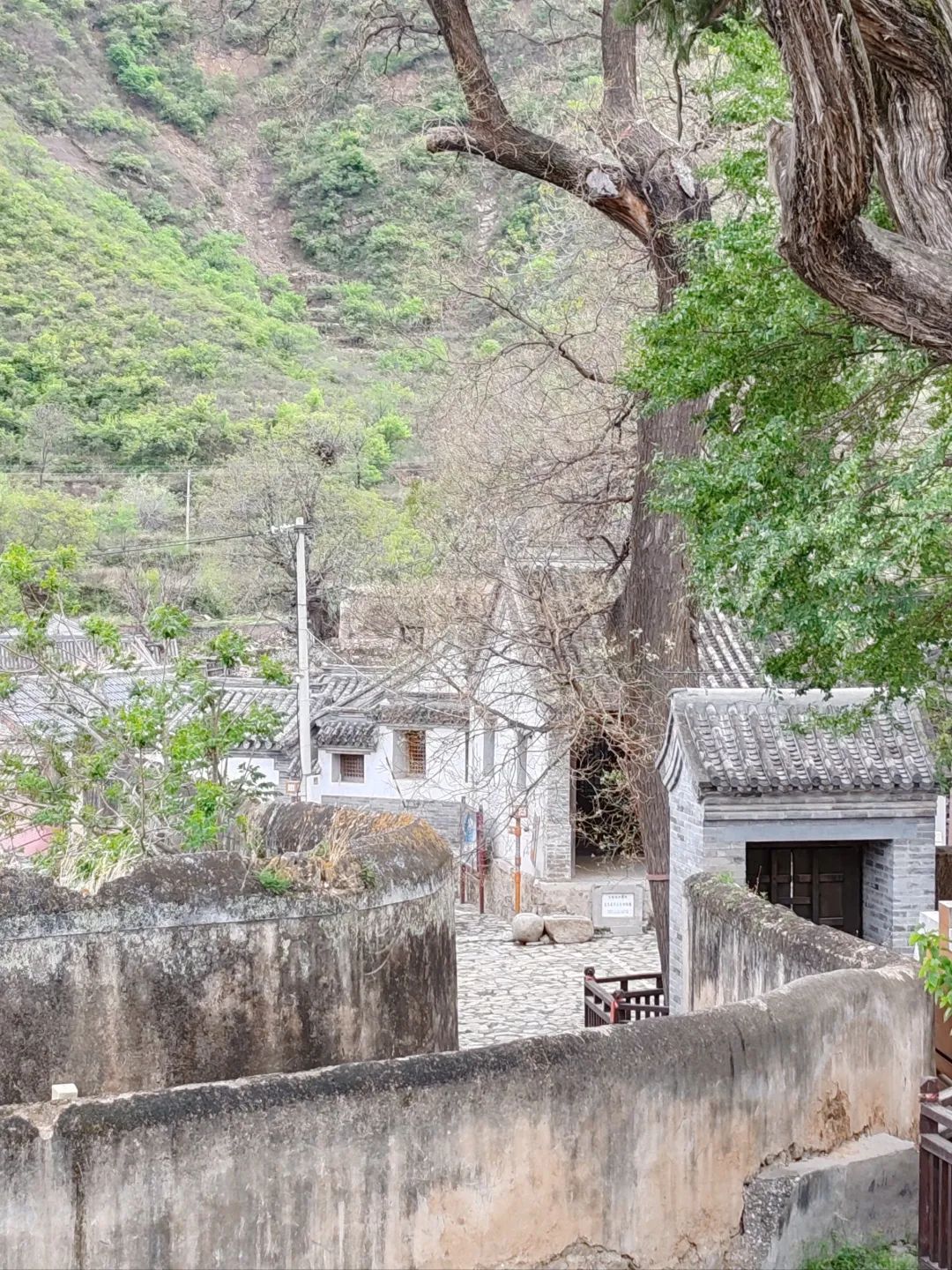 灵水举人村