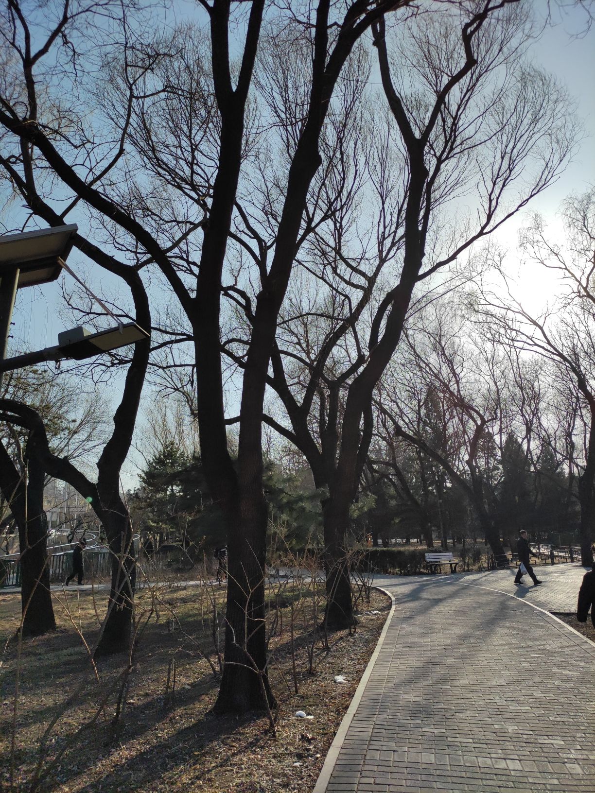 香河园公园