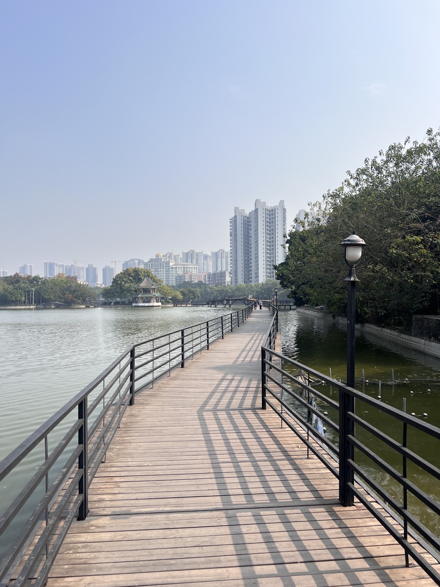 秀全公园旅行图片