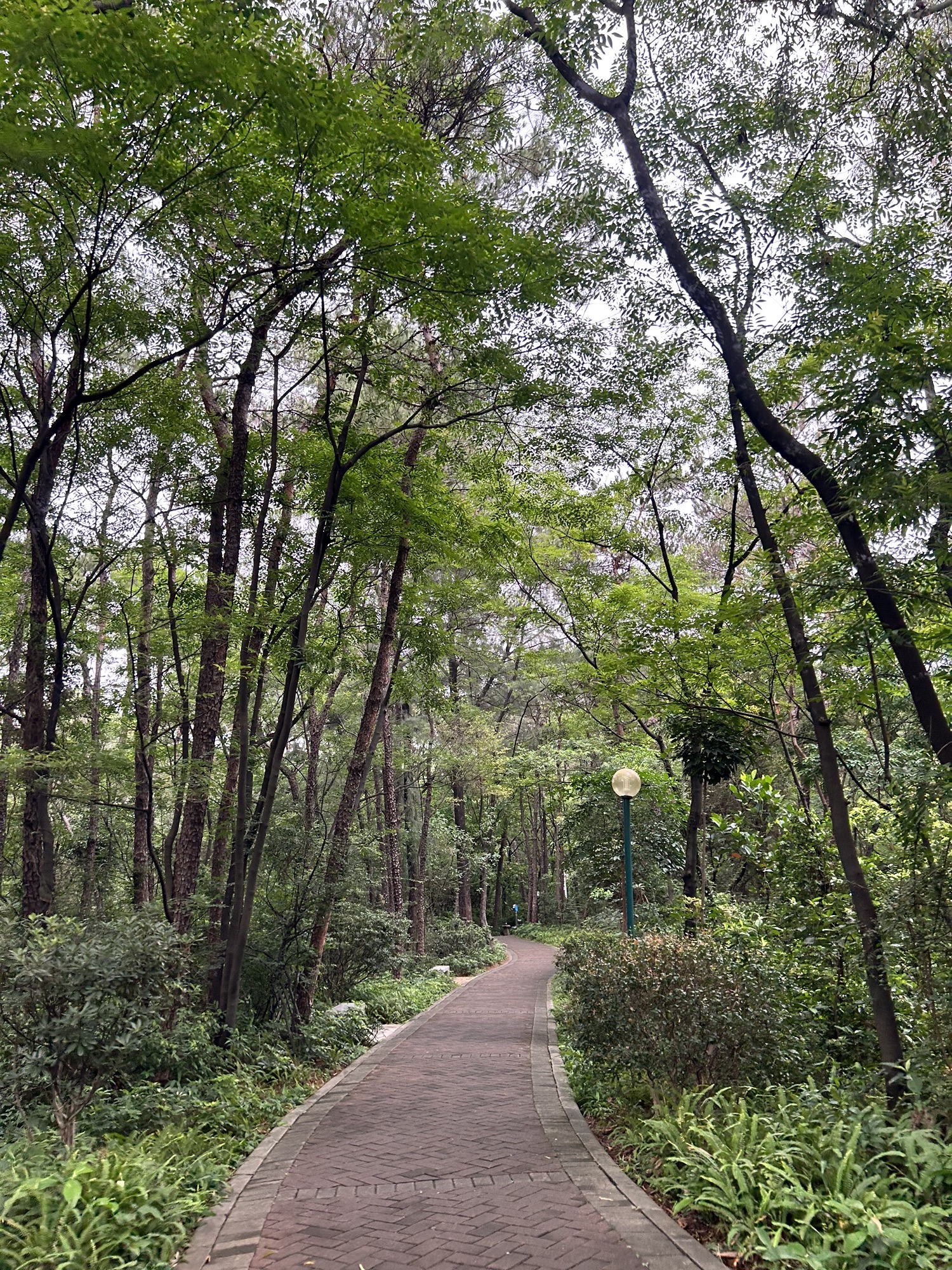 马鞍山公园旅行图片