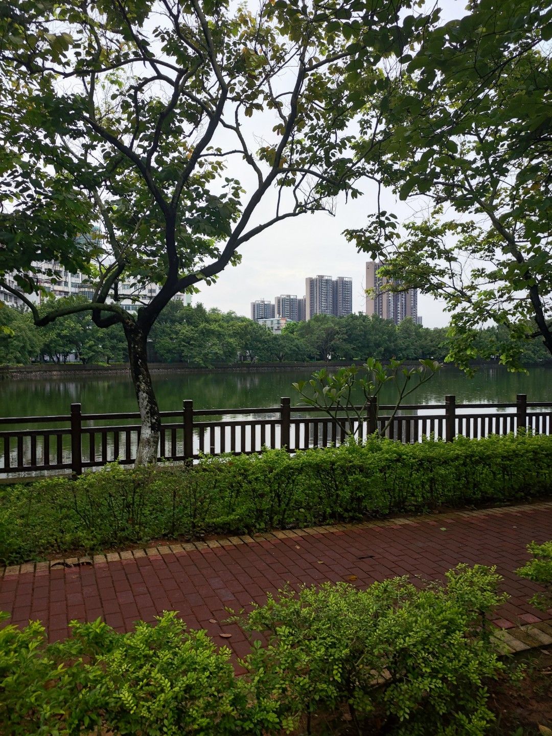增城东湖公园