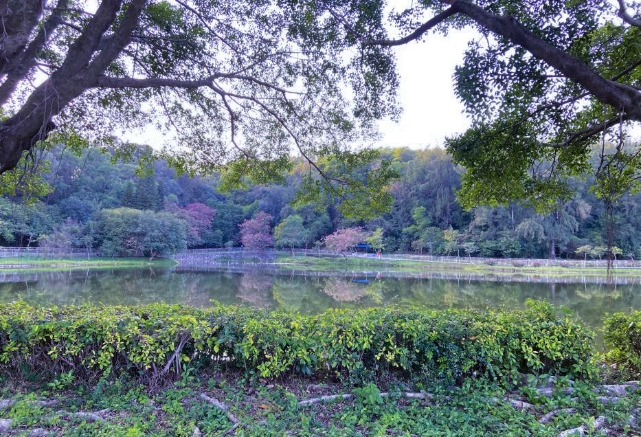 白象岭公园