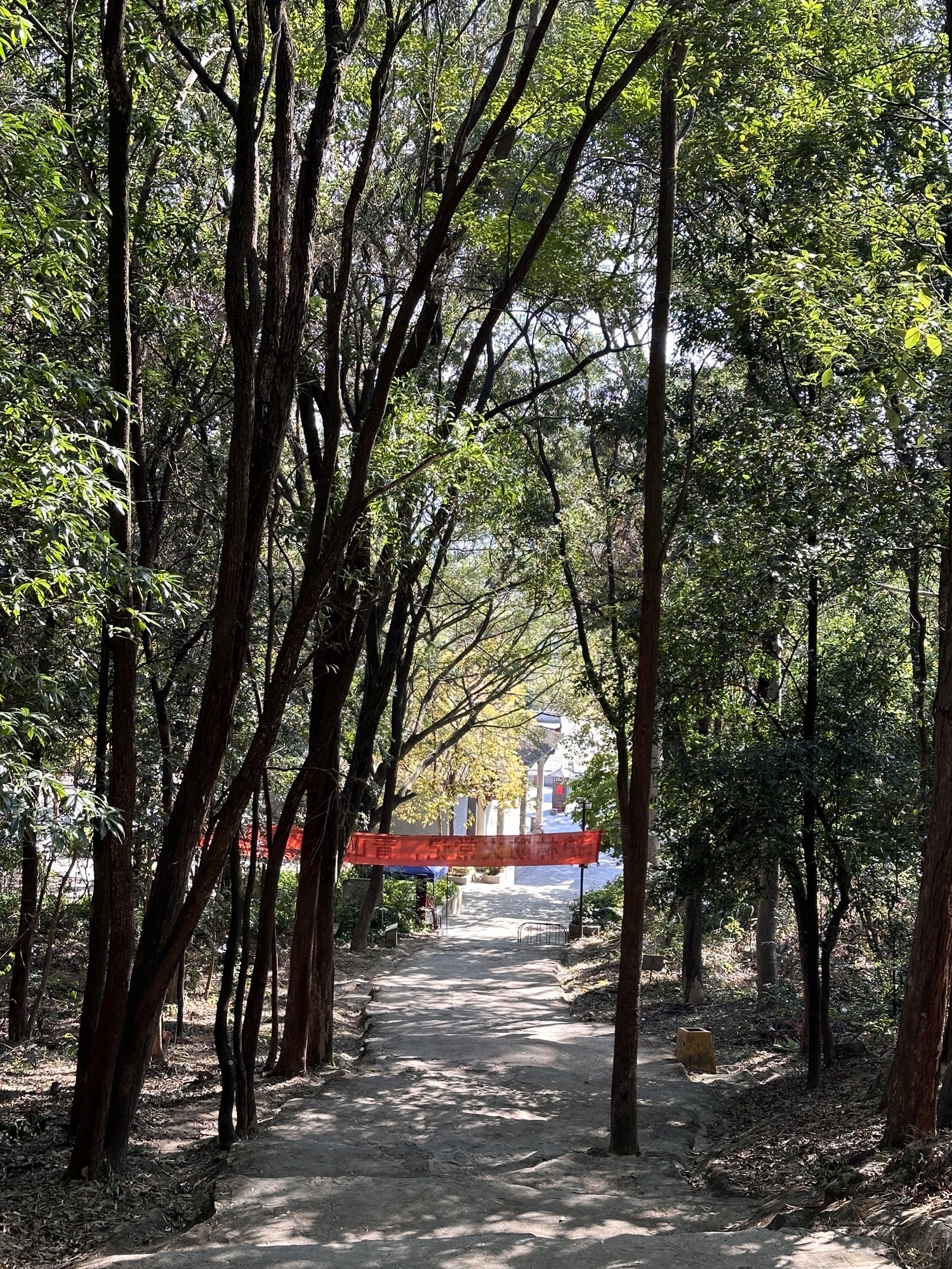 盘古王公园旅行图片