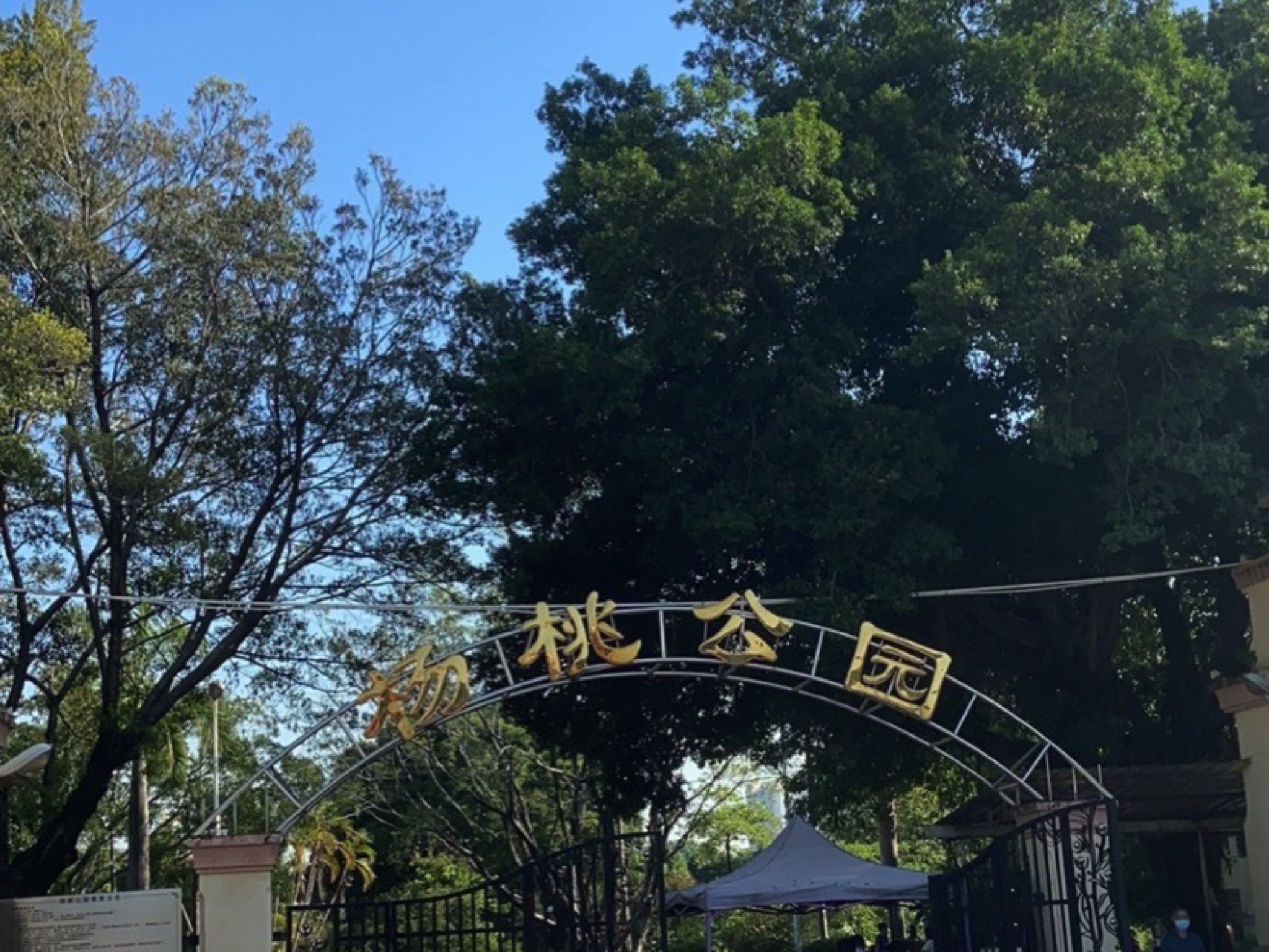 杨桃公园旅行图片
