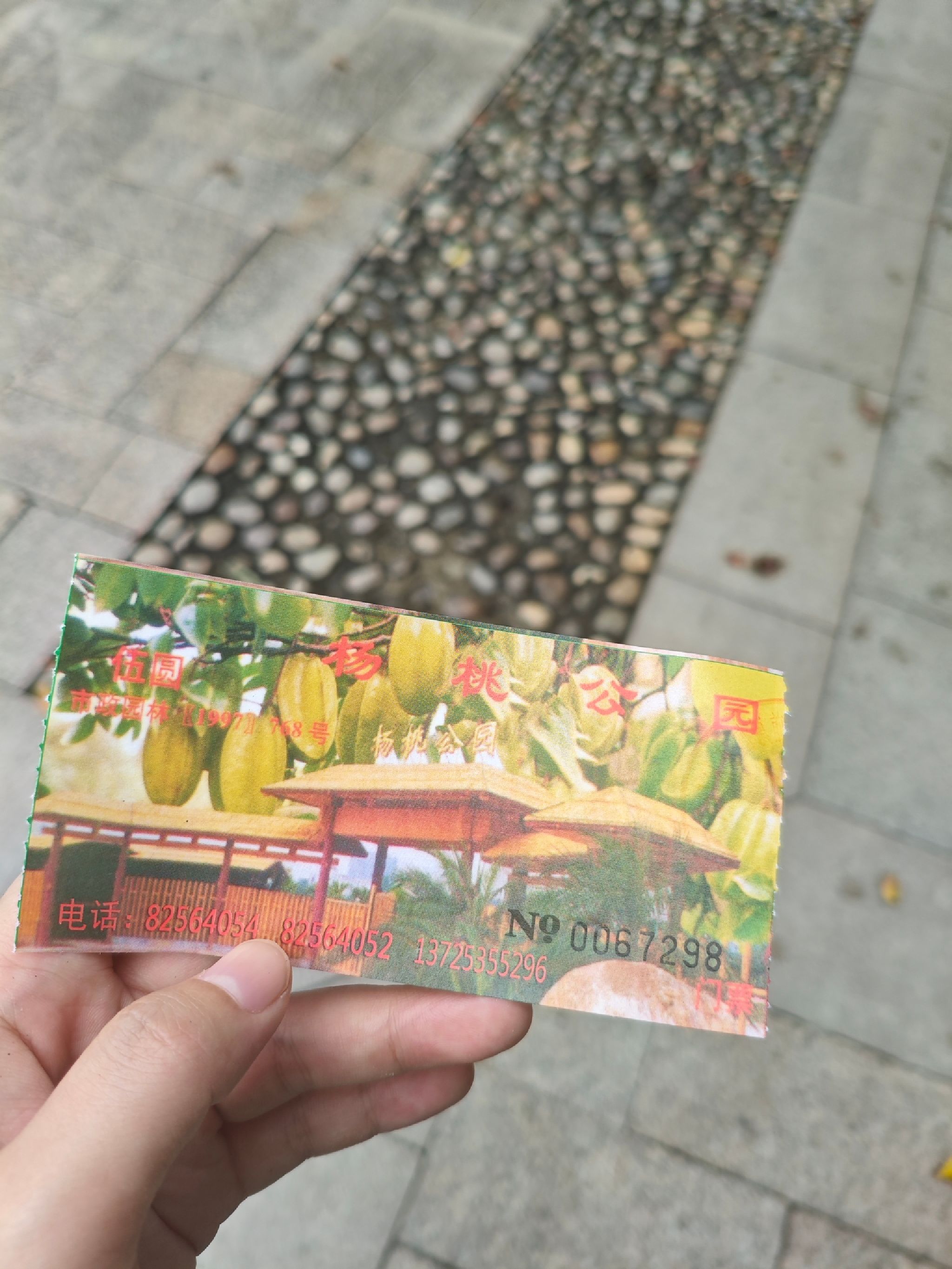 杨桃公园旅行图片