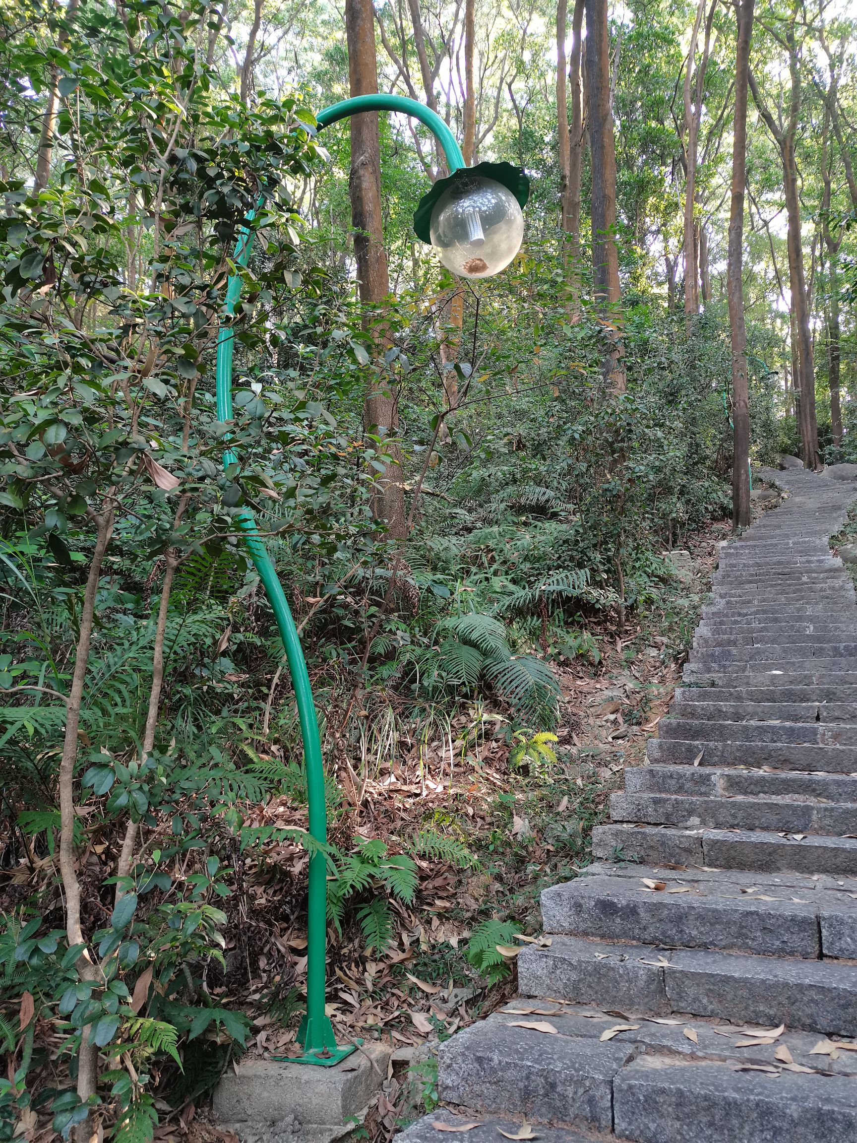 蕉石岭森林公园