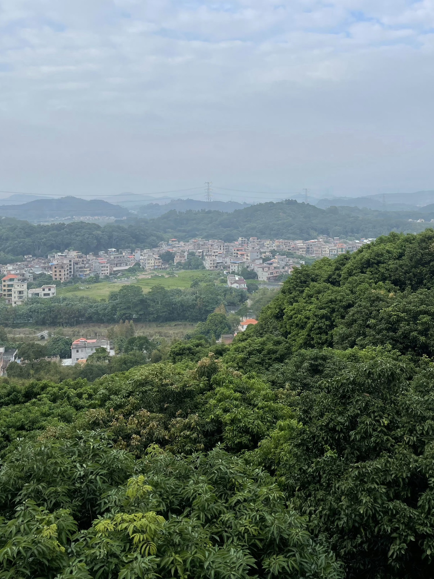 增城何仙姑景区