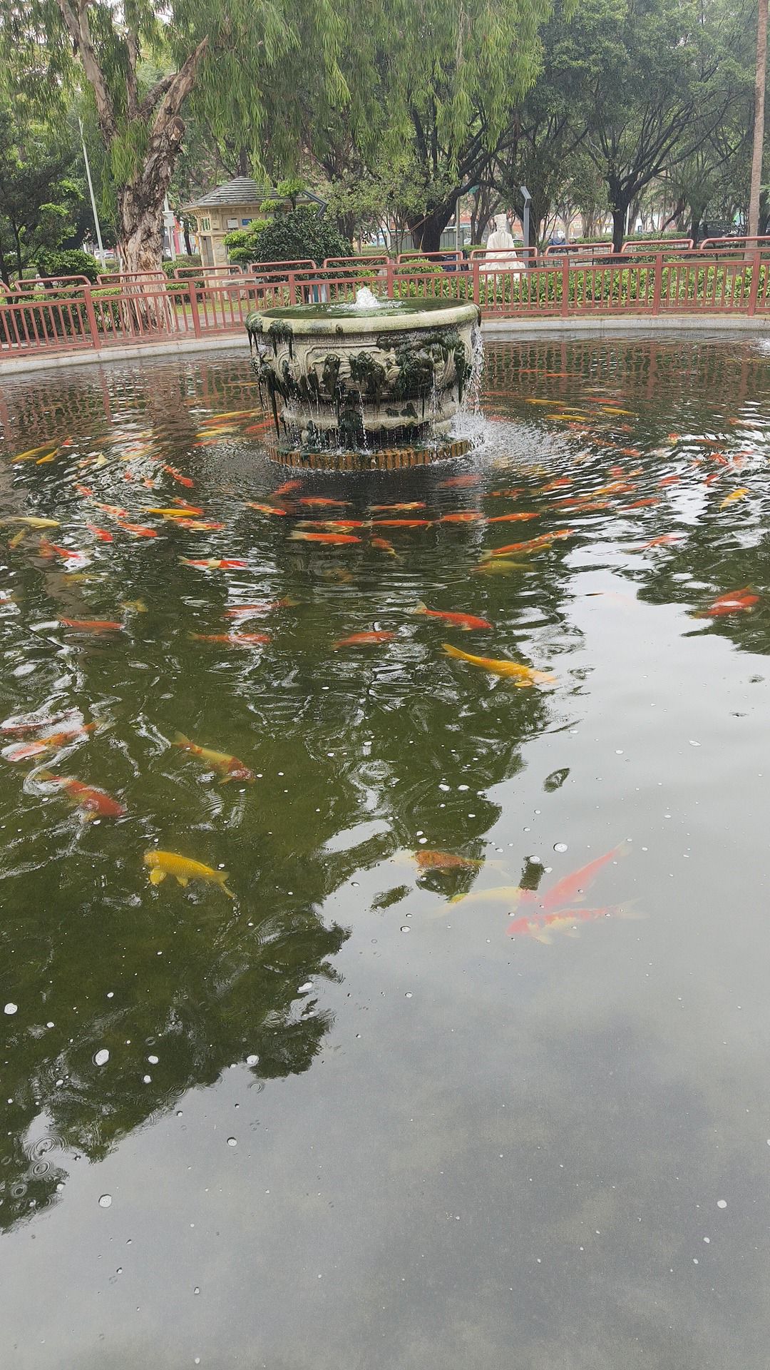 黄阁镇体育公园旅行图片