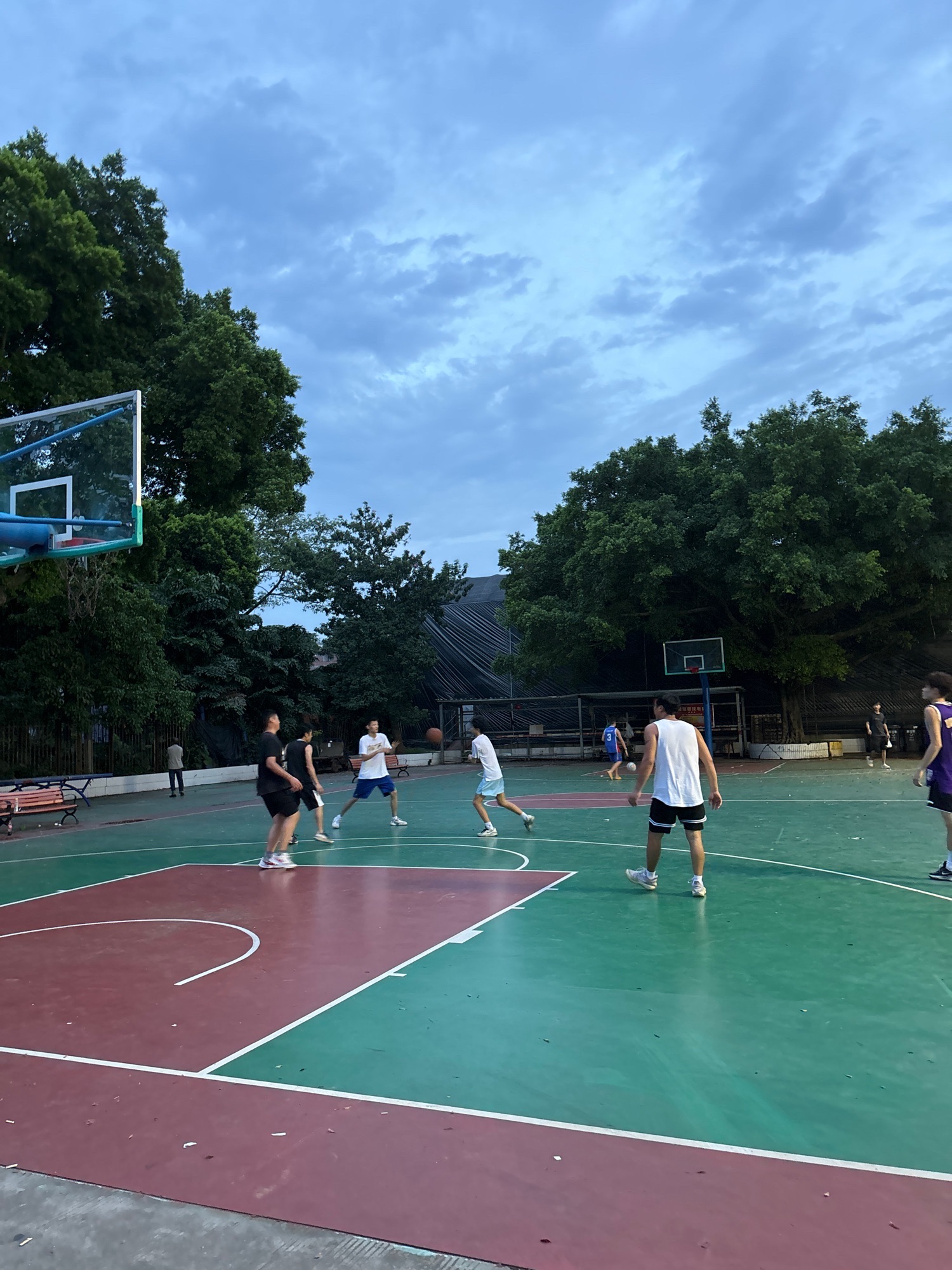 双清园旅行图片