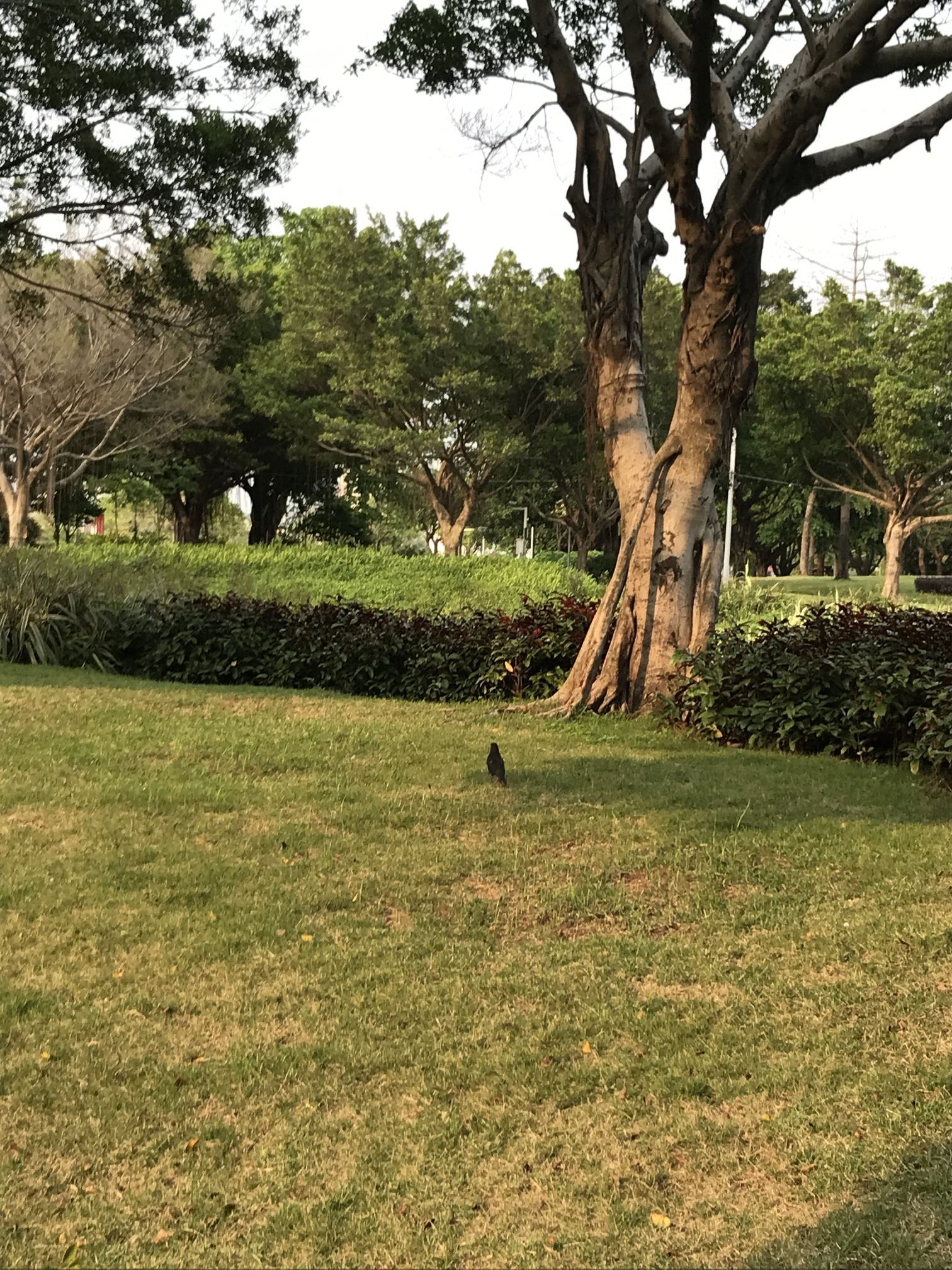广州会展公园