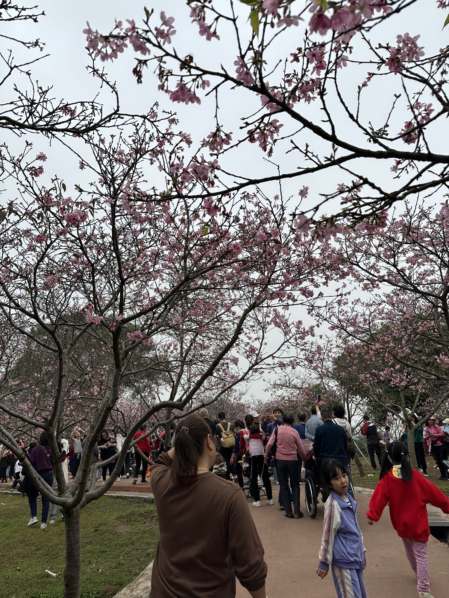 十八罗汉山森林公园