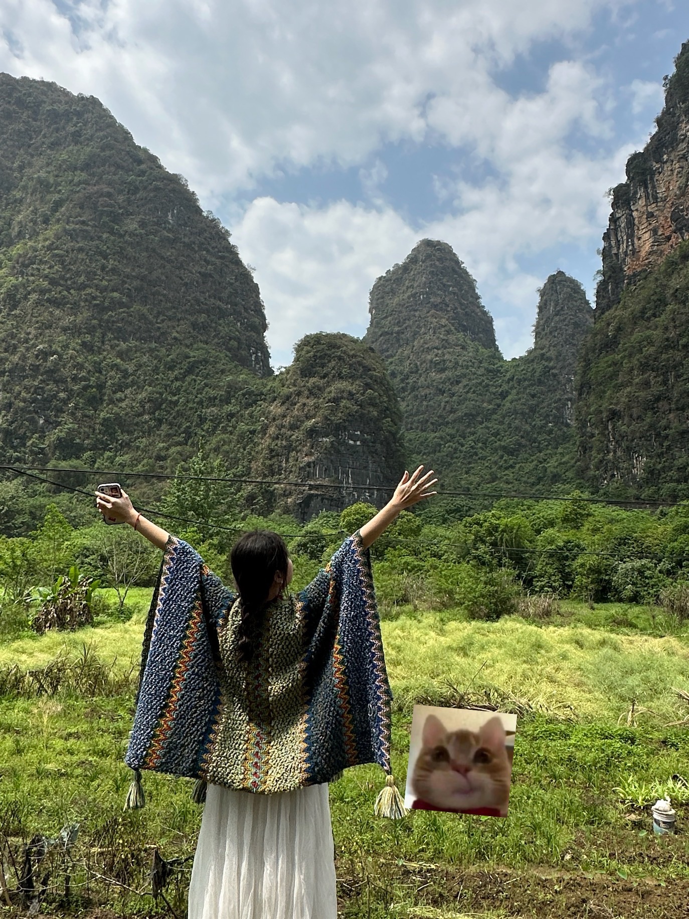 岐山公园旅行图片