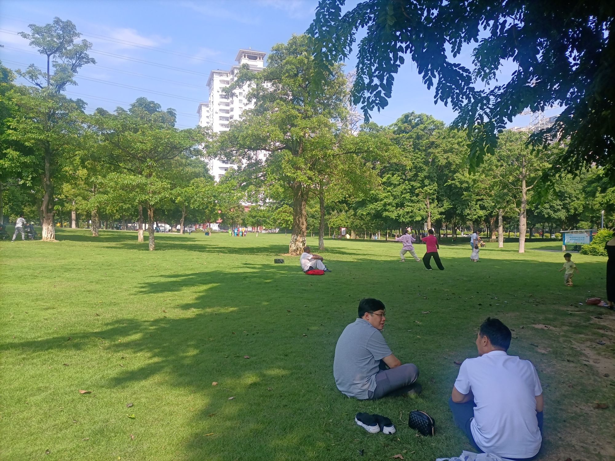 蝴蝶洲公园