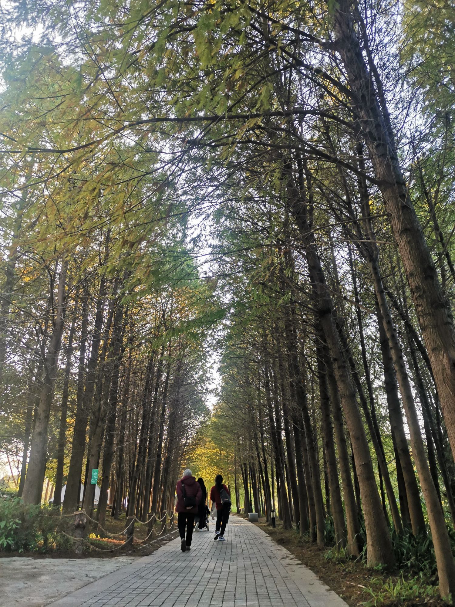 从化流溪河水陆绿道旅行图片