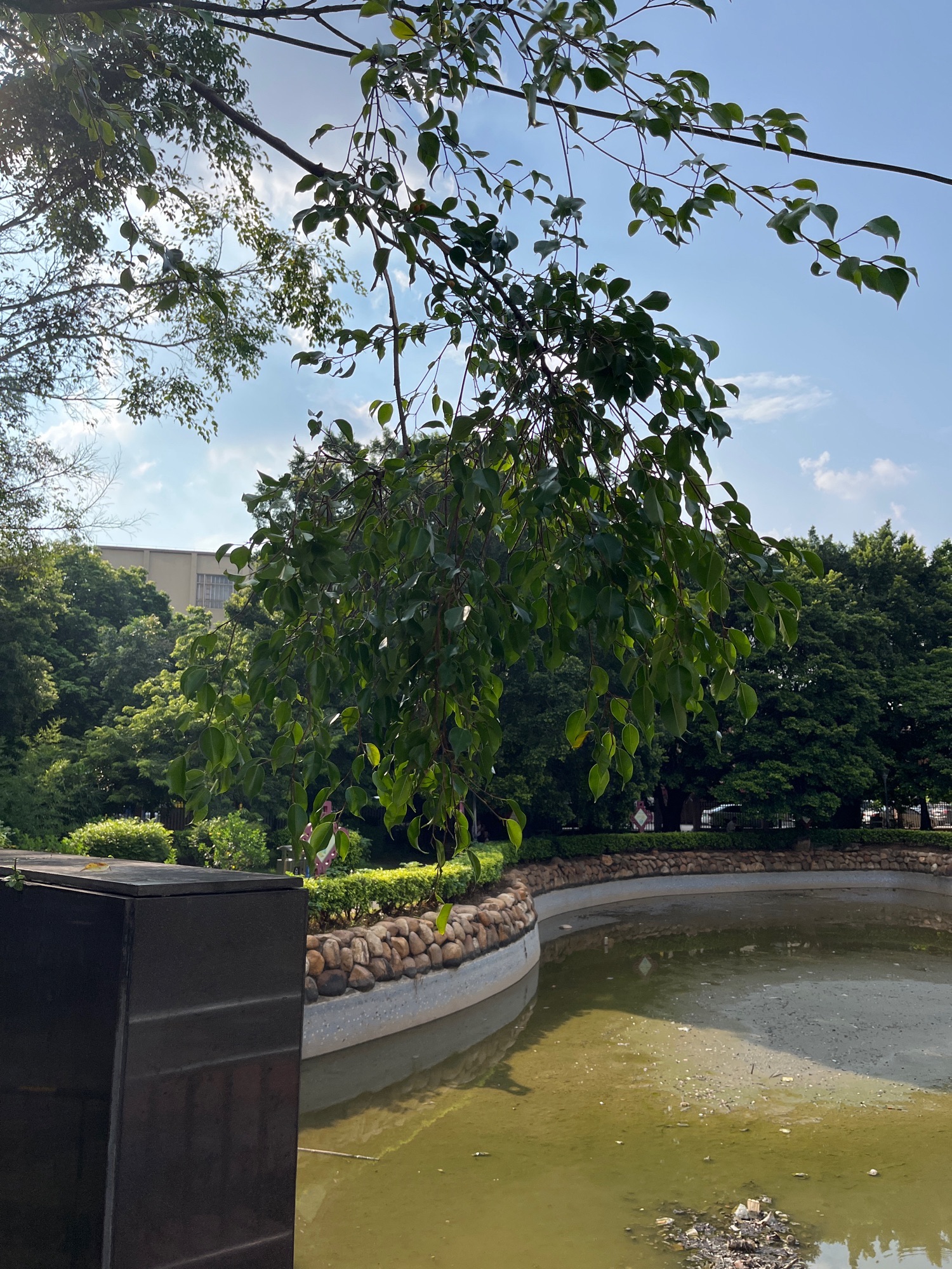 塘贝公园旅行图片