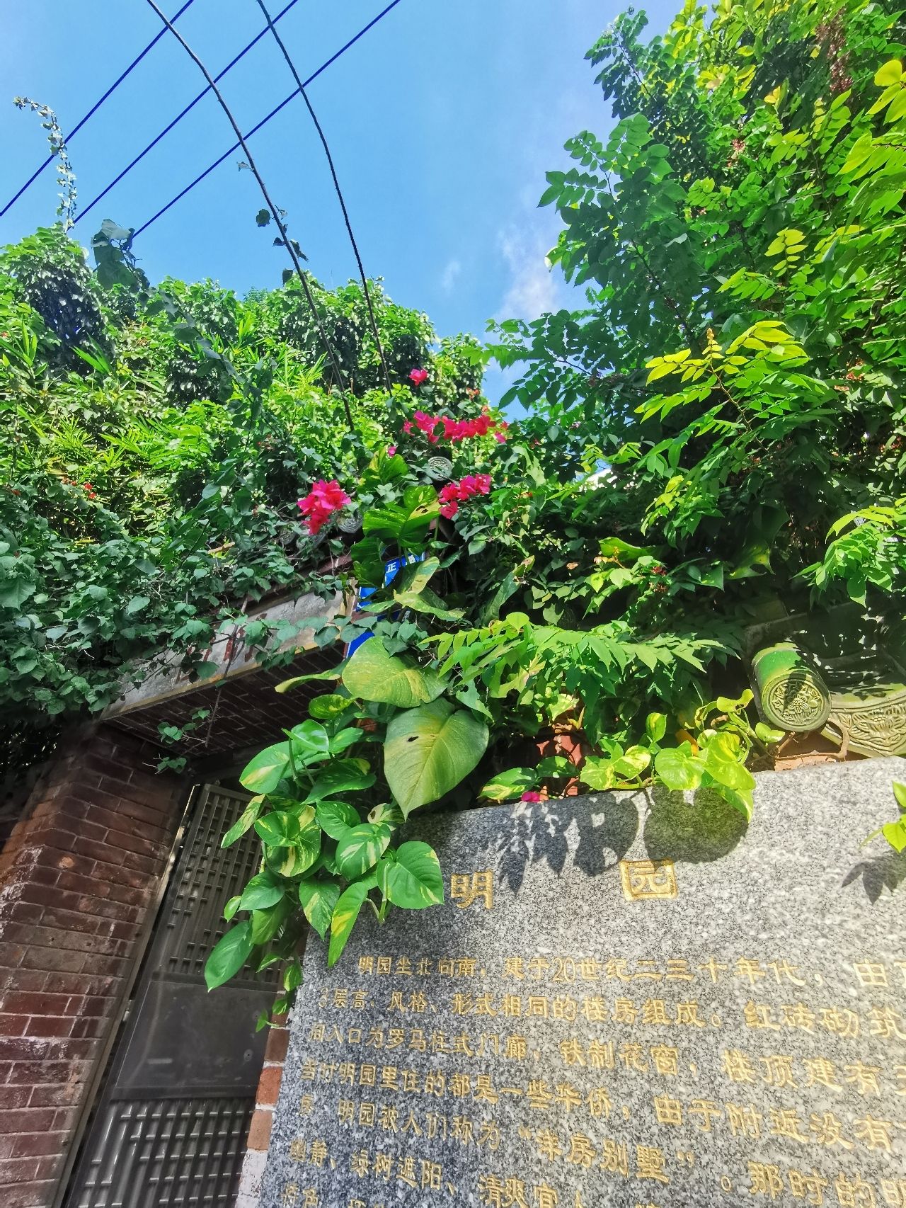 明园