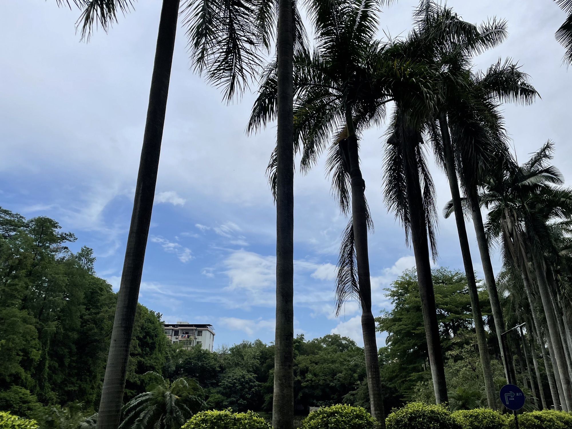 中国科学院华南植物园科研区旅行图片