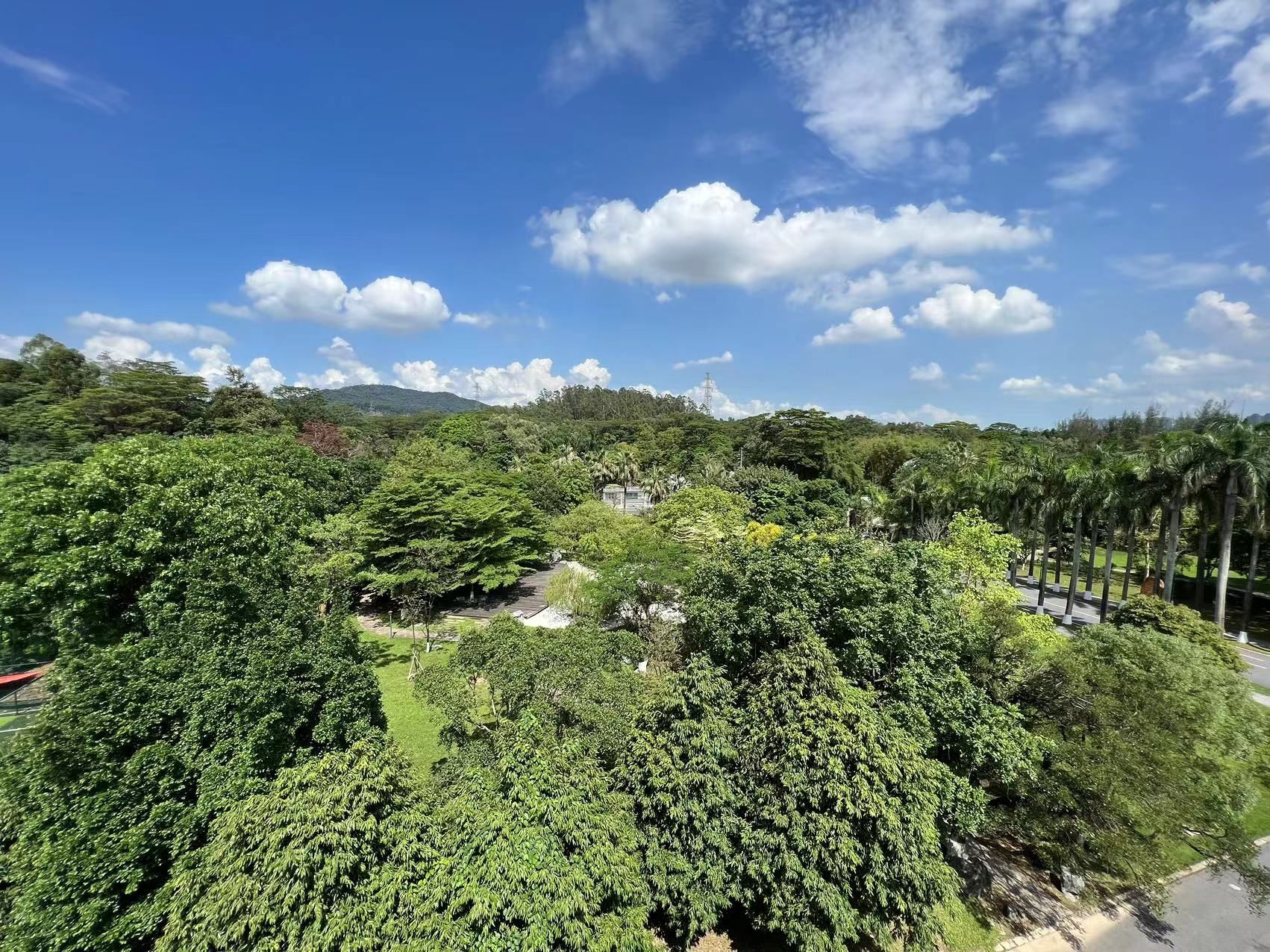 中国科学院华南植物园科研区旅行图片