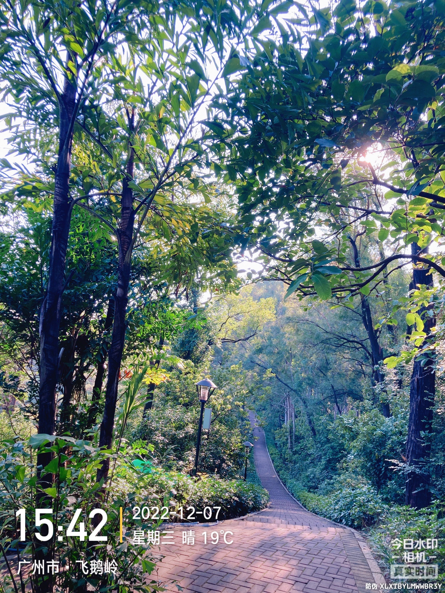 飞鹅岭山顶公园