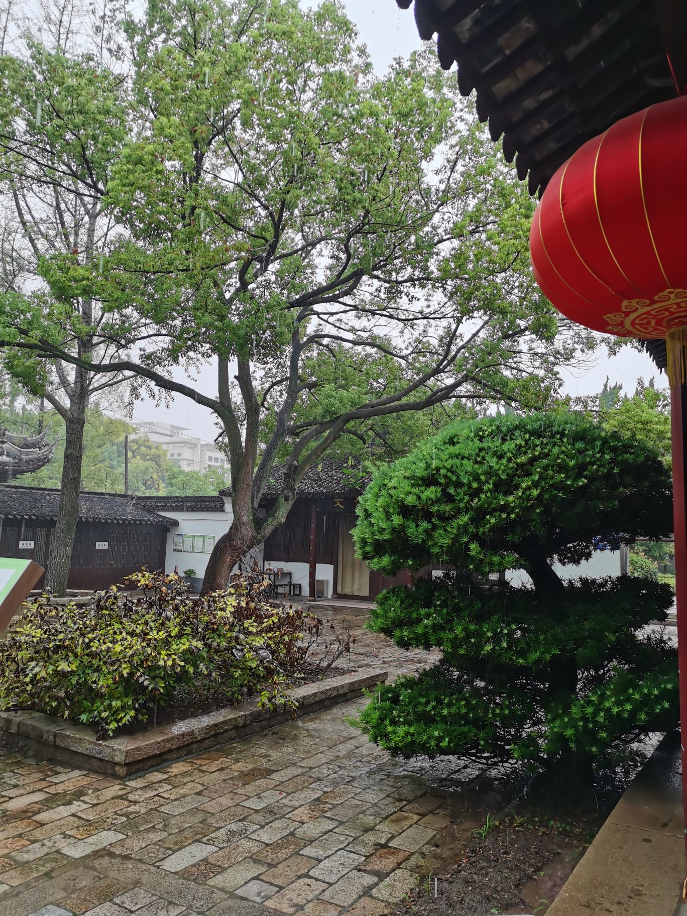 上海崇明学宫旅行图片