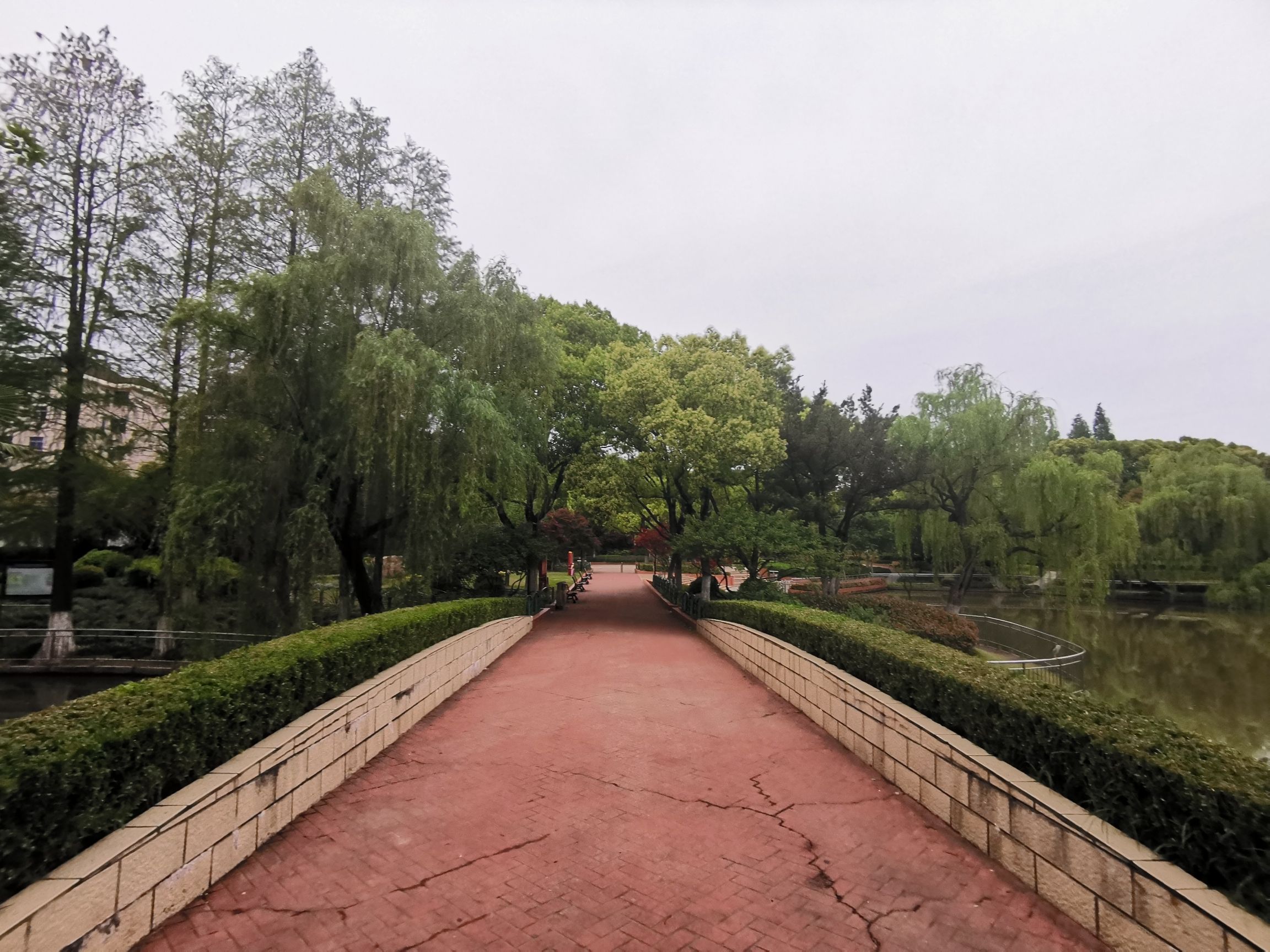 黄渡公园