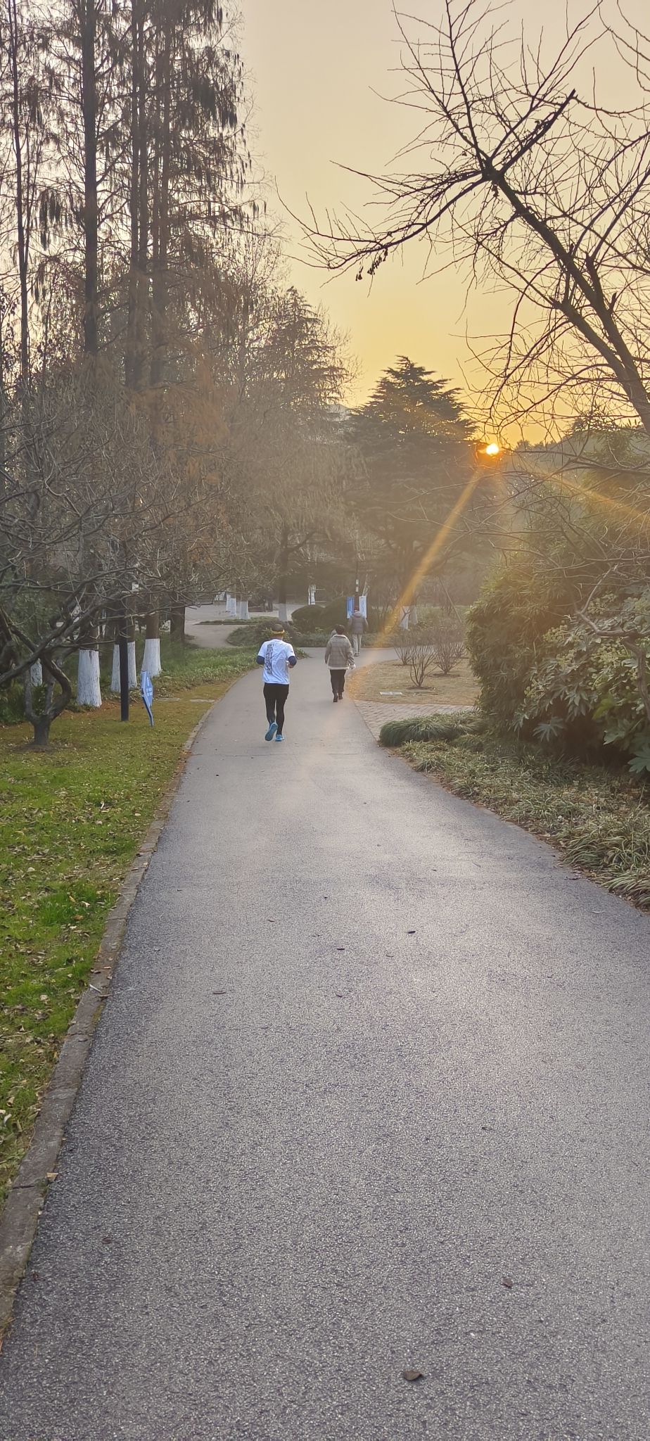 友谊公园旅行图片