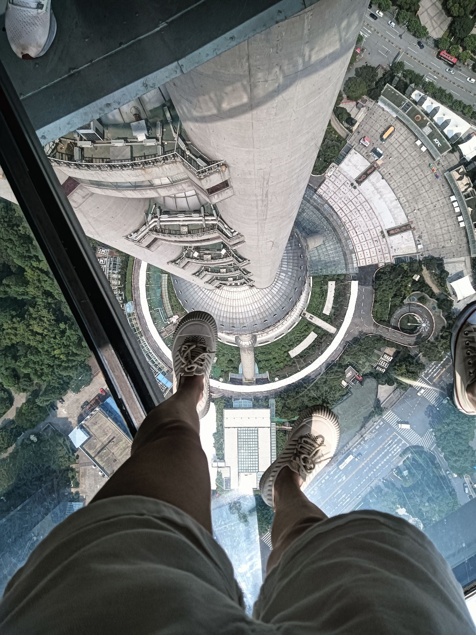 东方明珠广播电视塔旅行图片