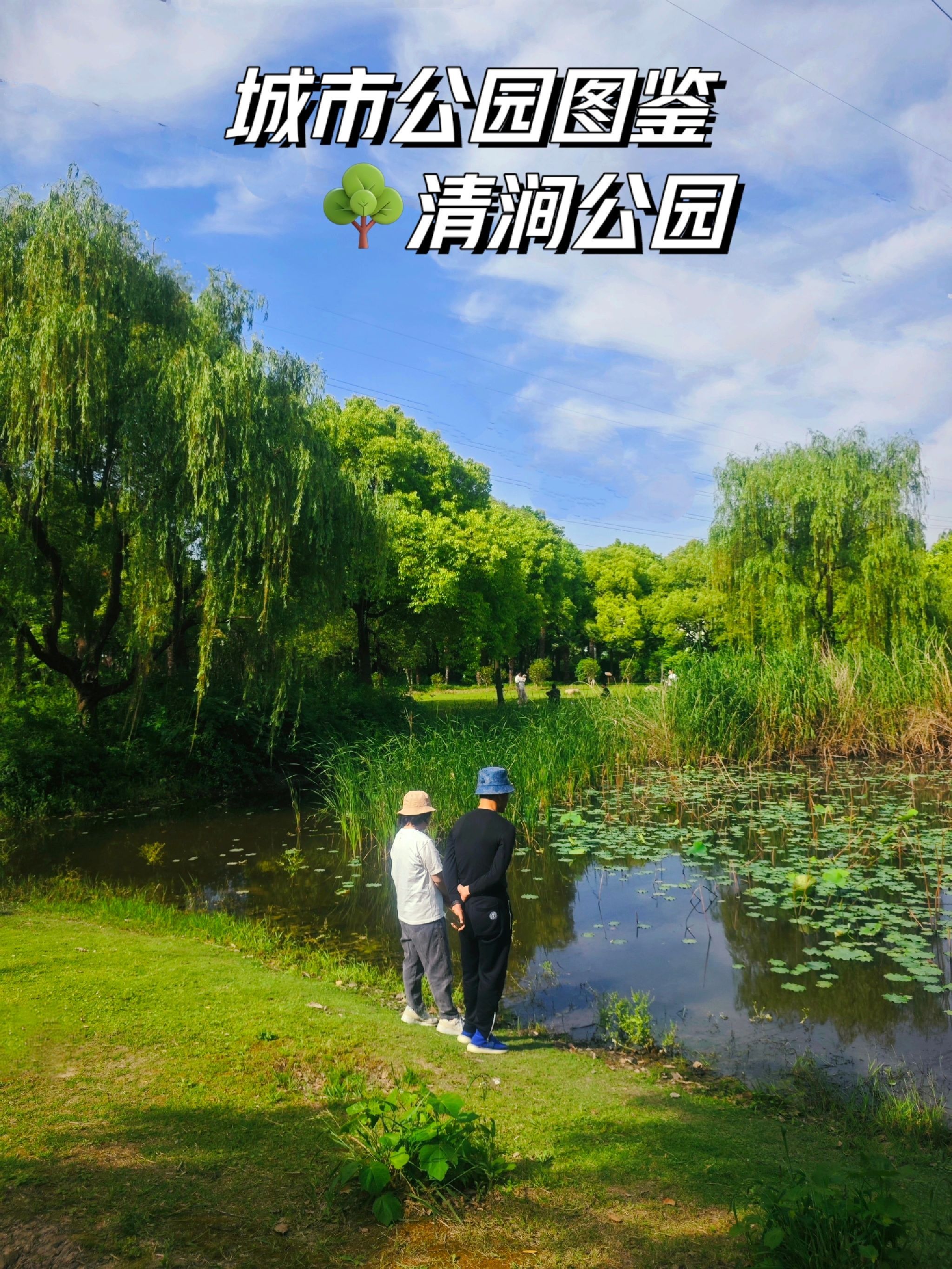 清涧公园旅行图片