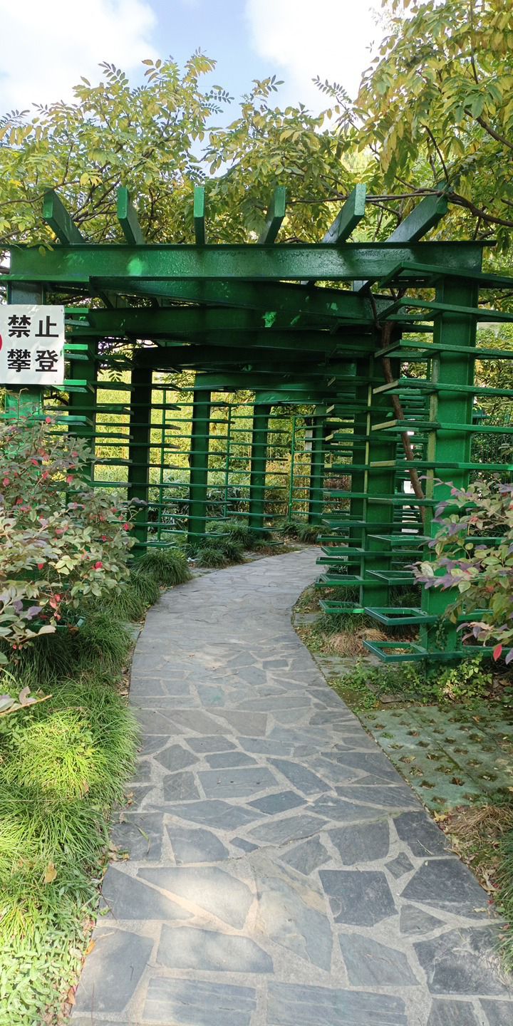 清涧公园旅行图片