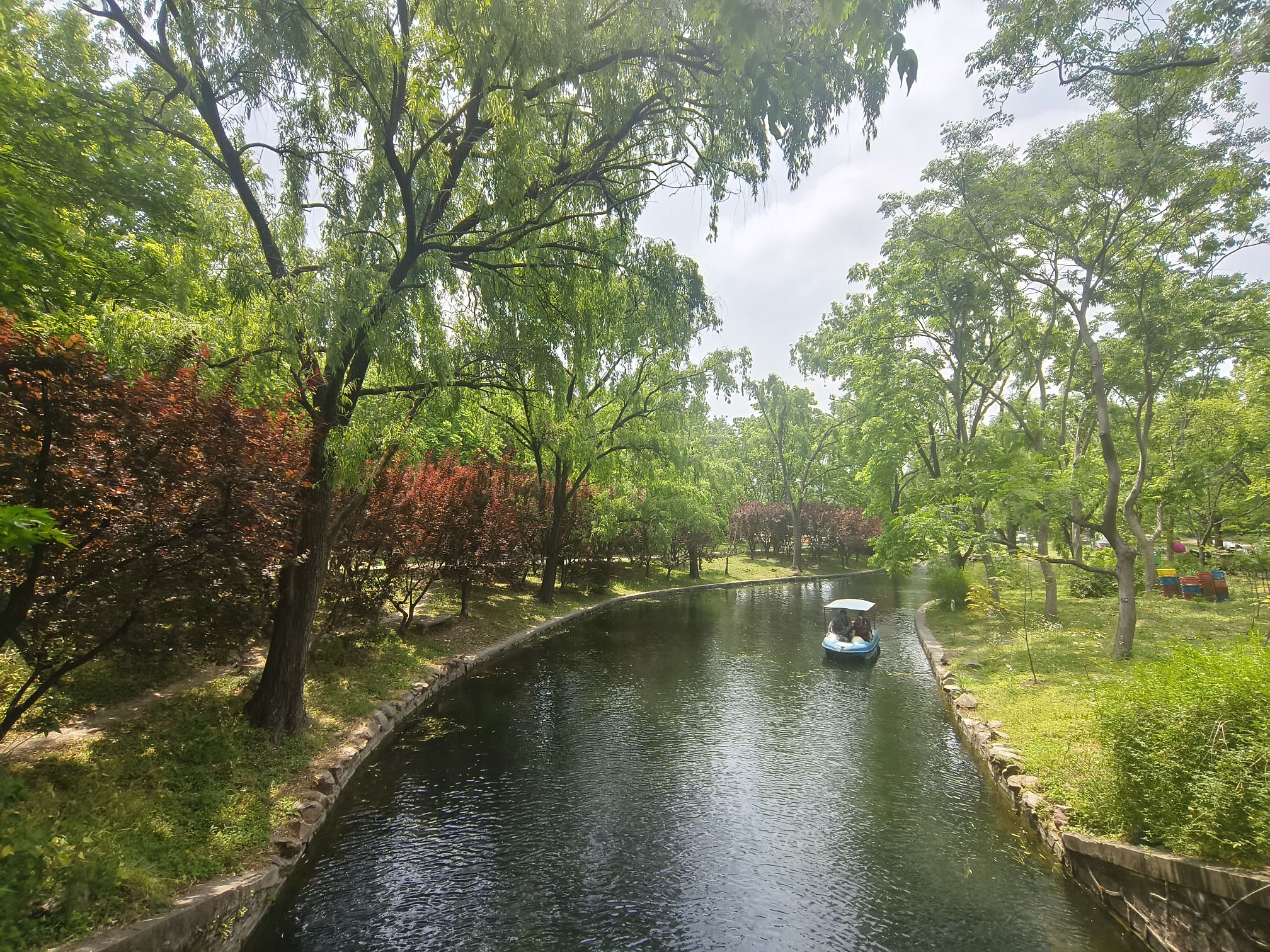 上海共青森林公园旅行图片