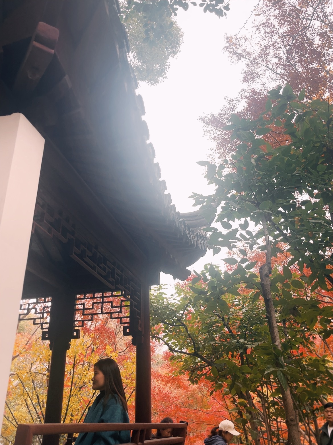 秋霞圃